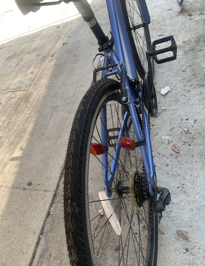 bike-pictures