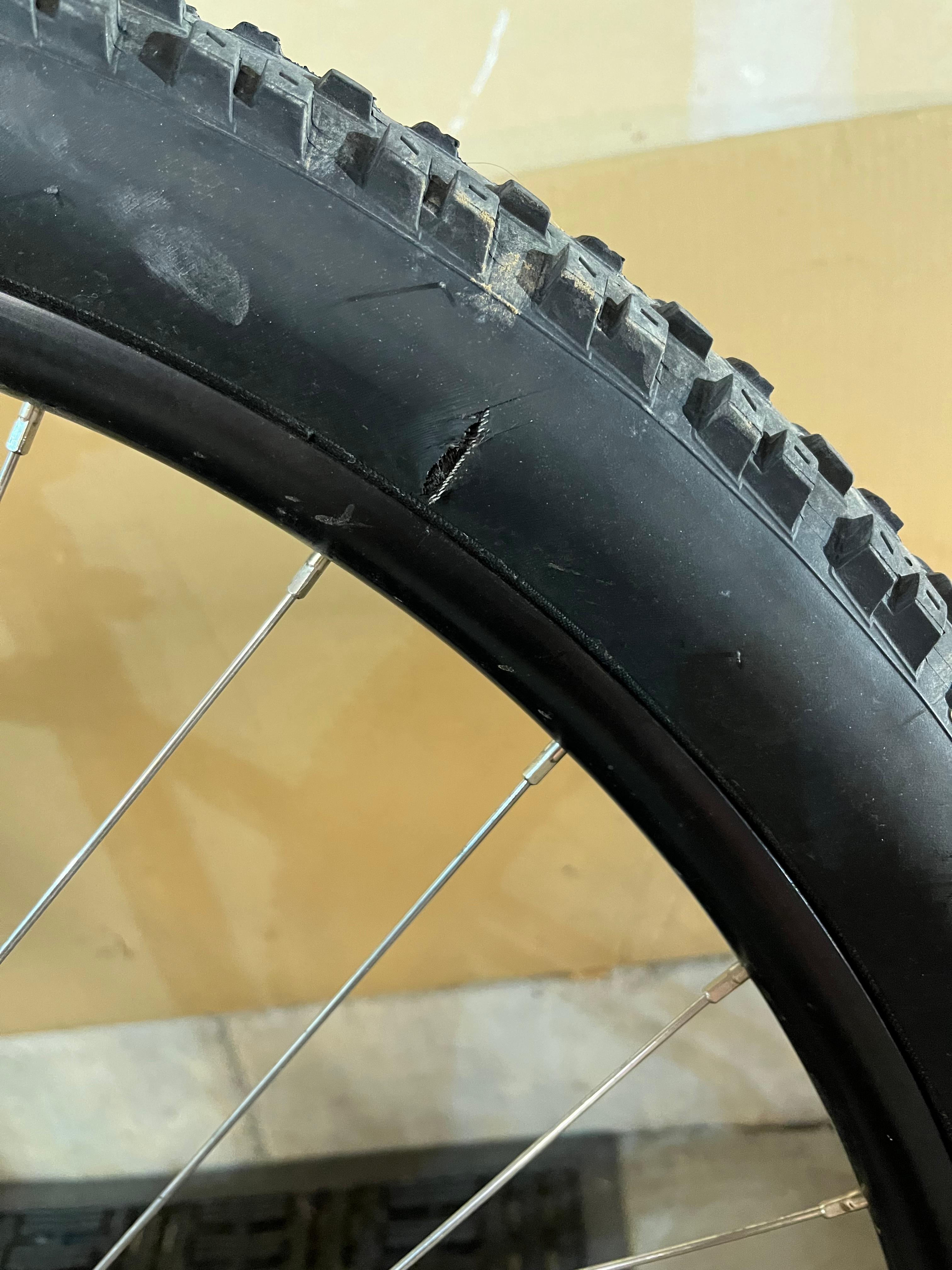 bike-pictures