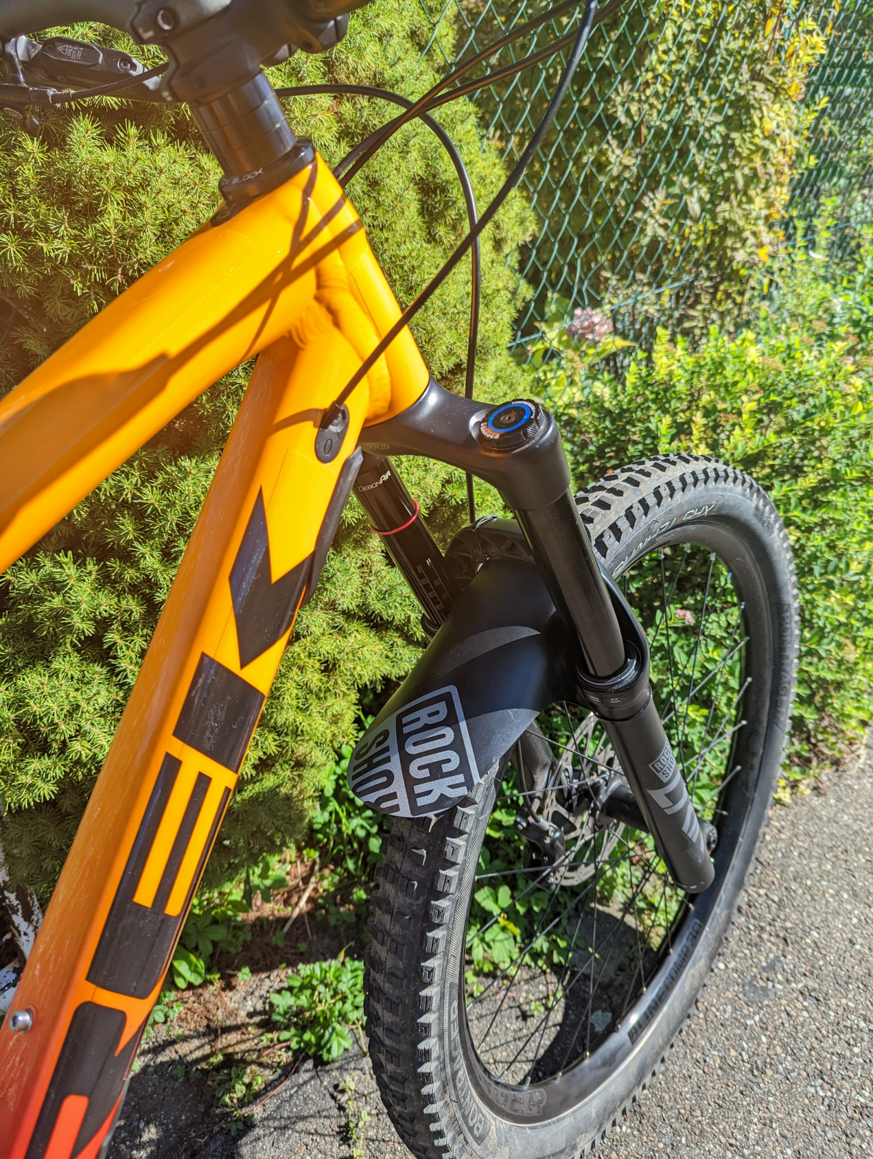 bike-pictures
