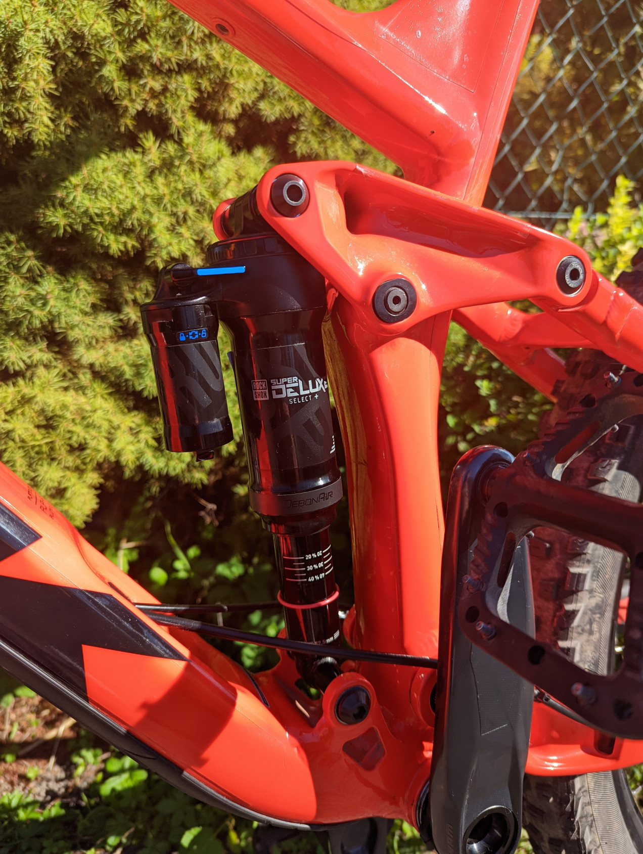 bike-pictures