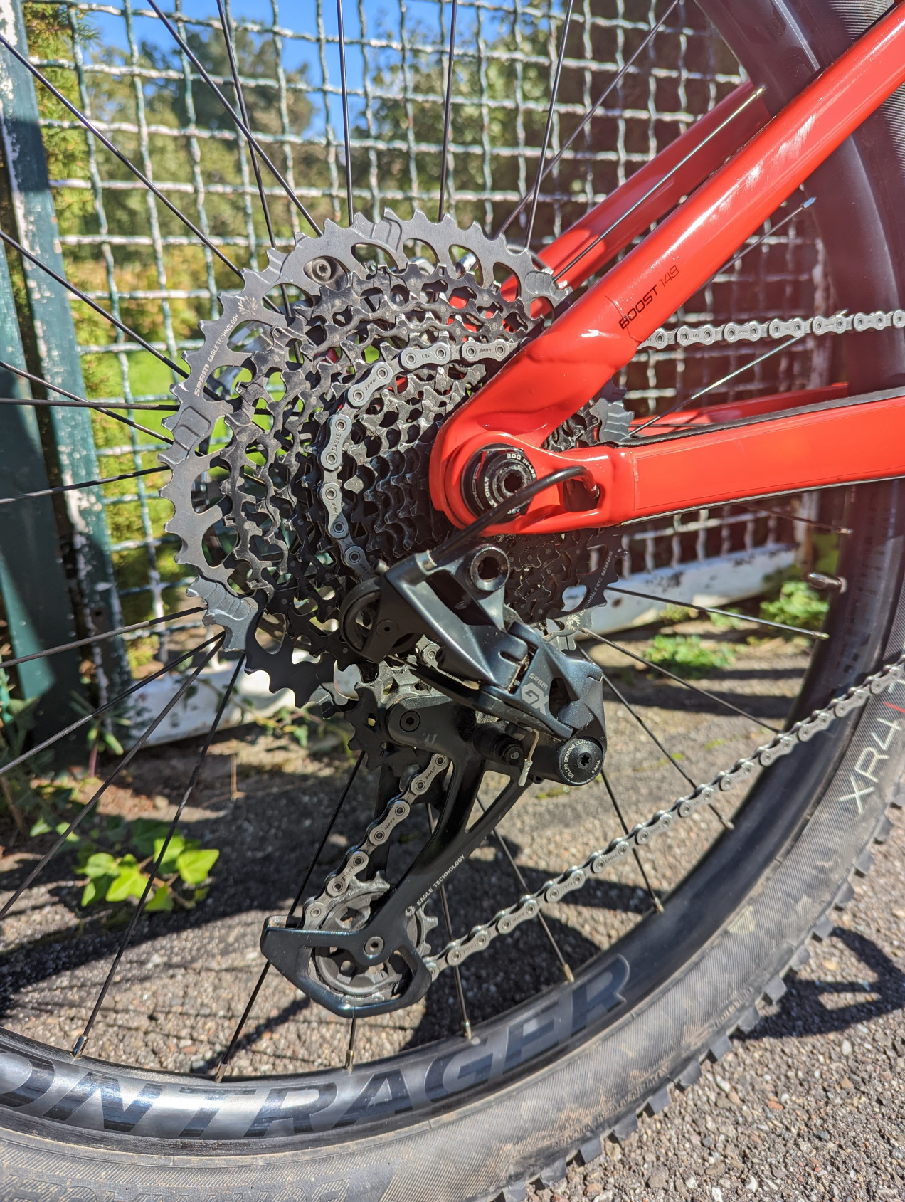bike-pictures