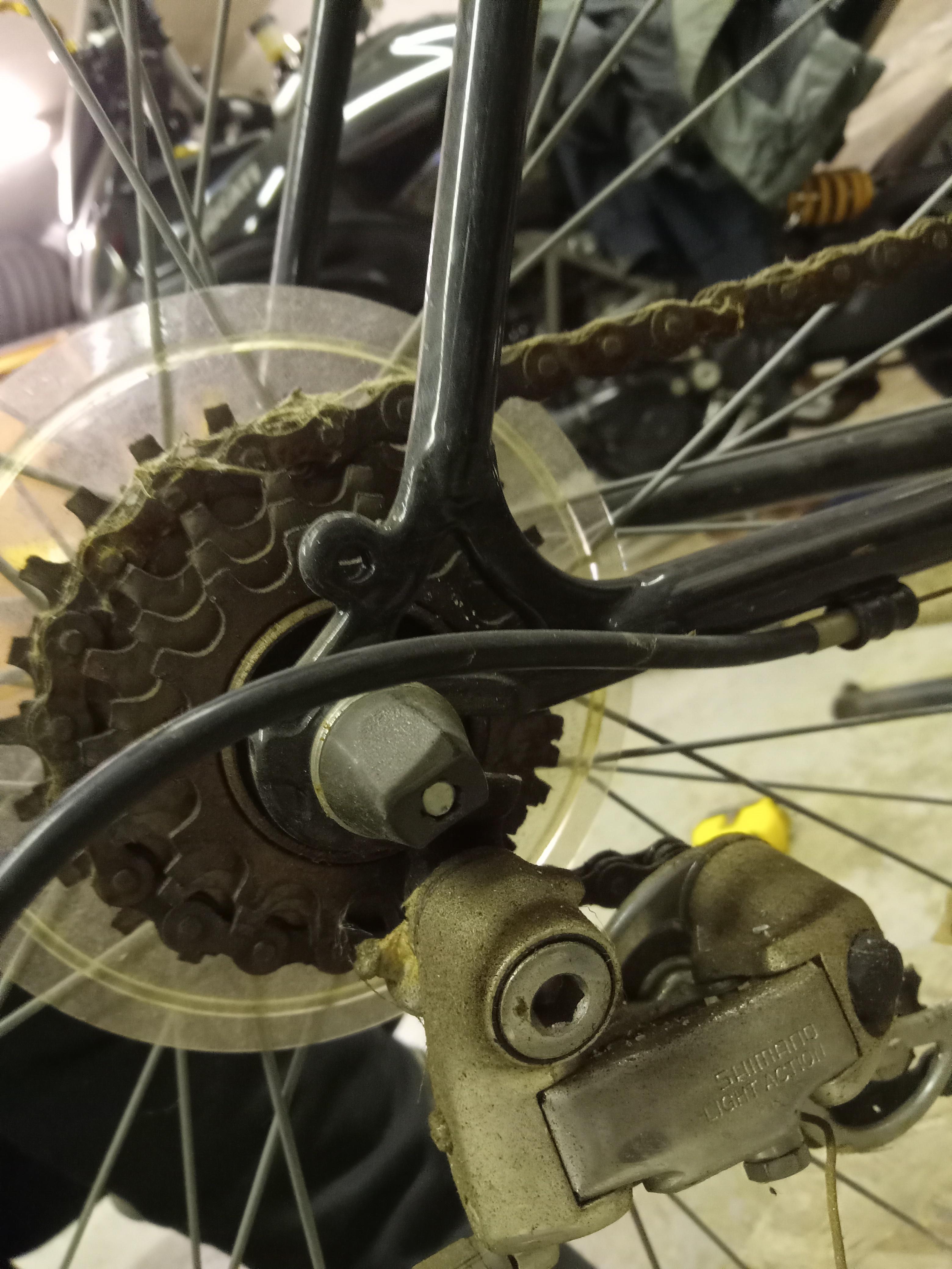 bike-pictures