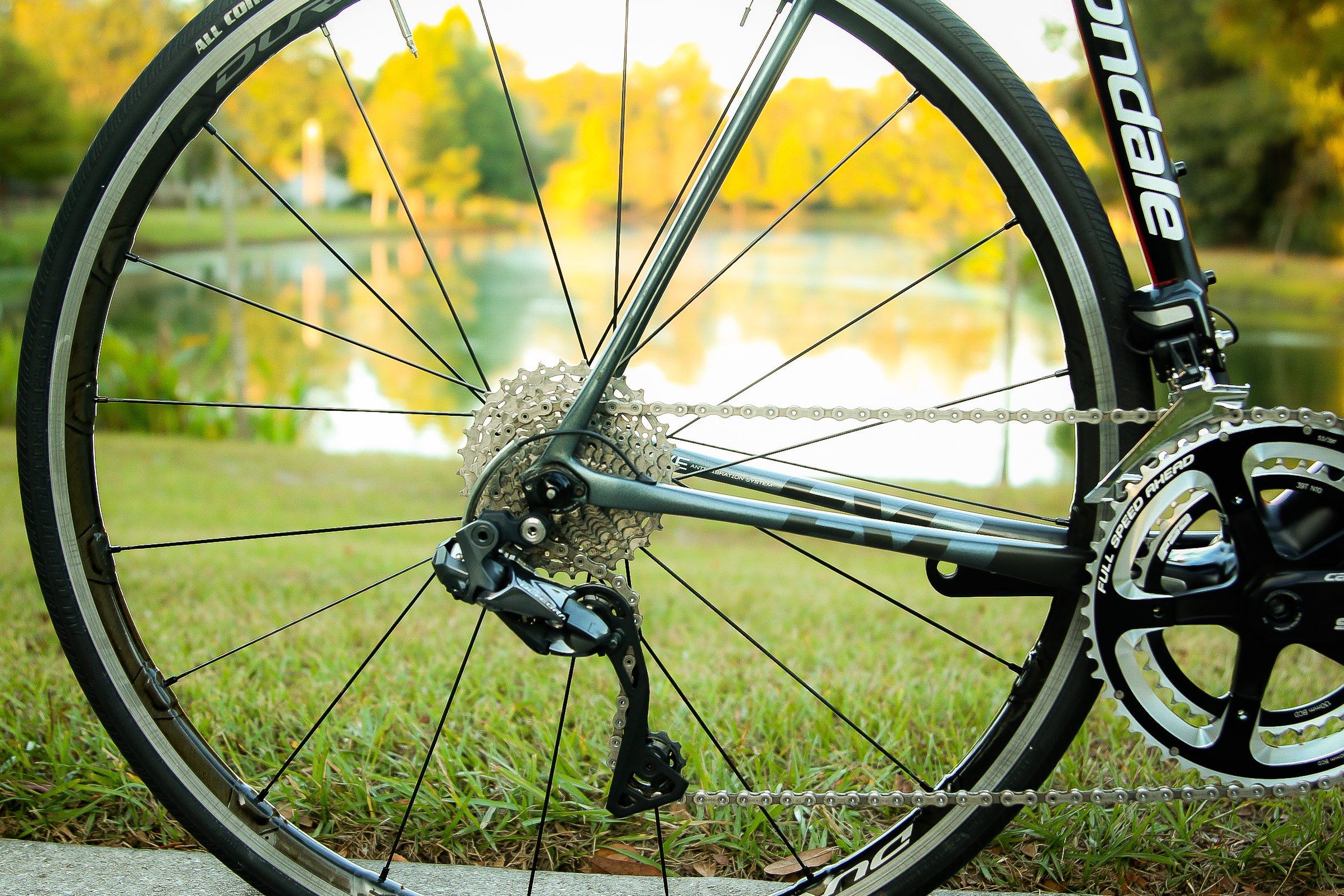 bike-pictures