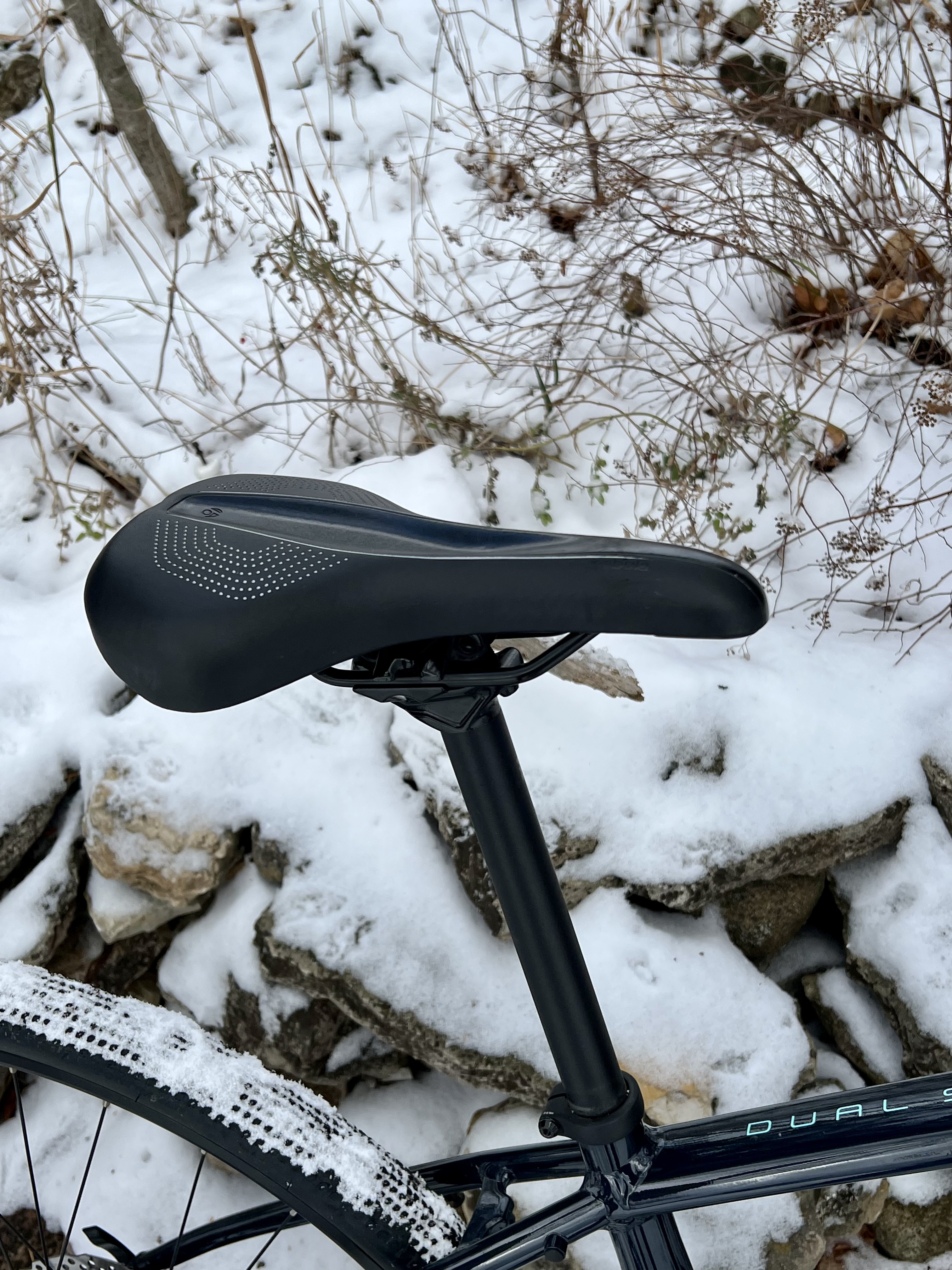 bike-pictures