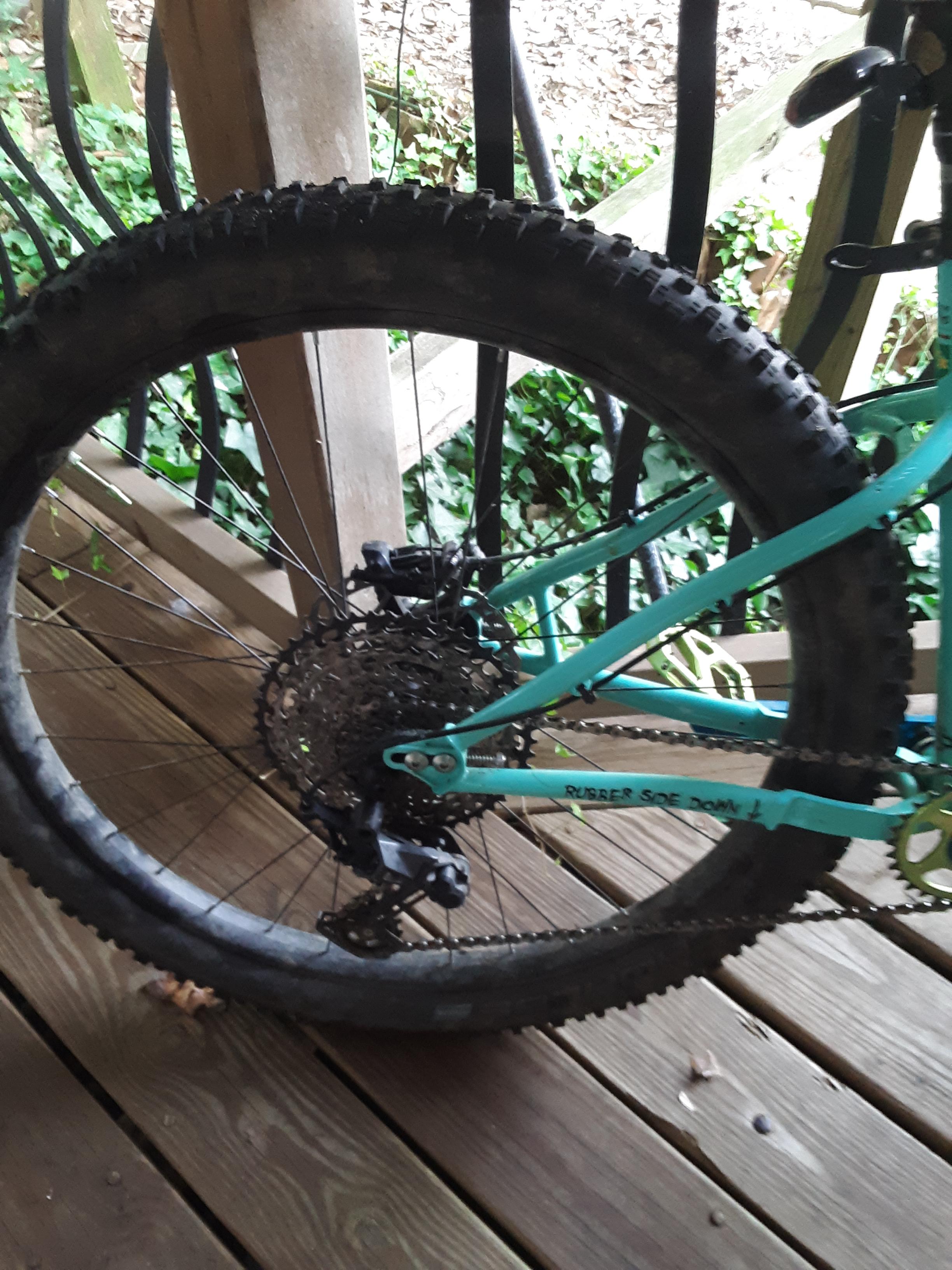 bike-pictures