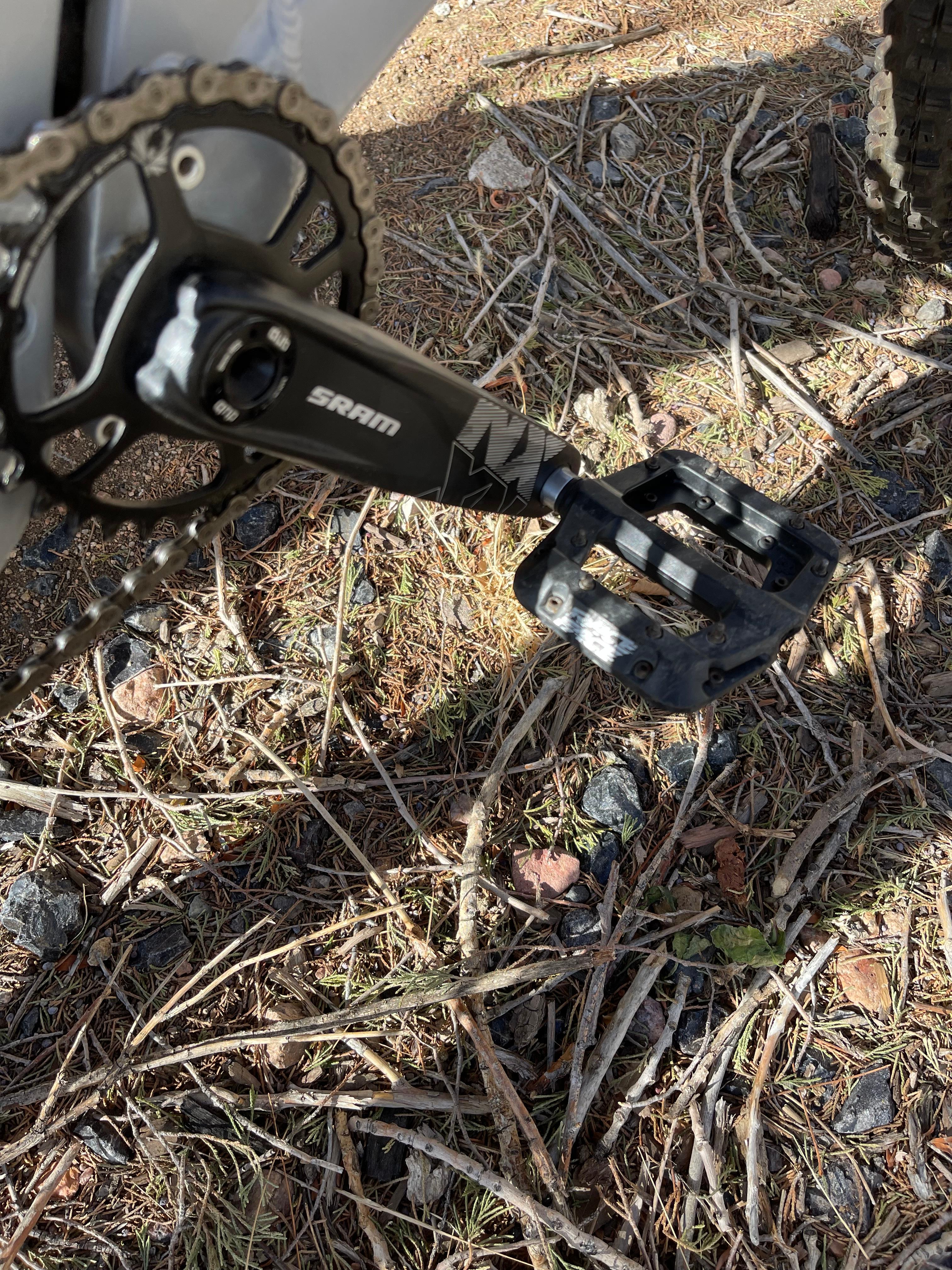 bike-pictures