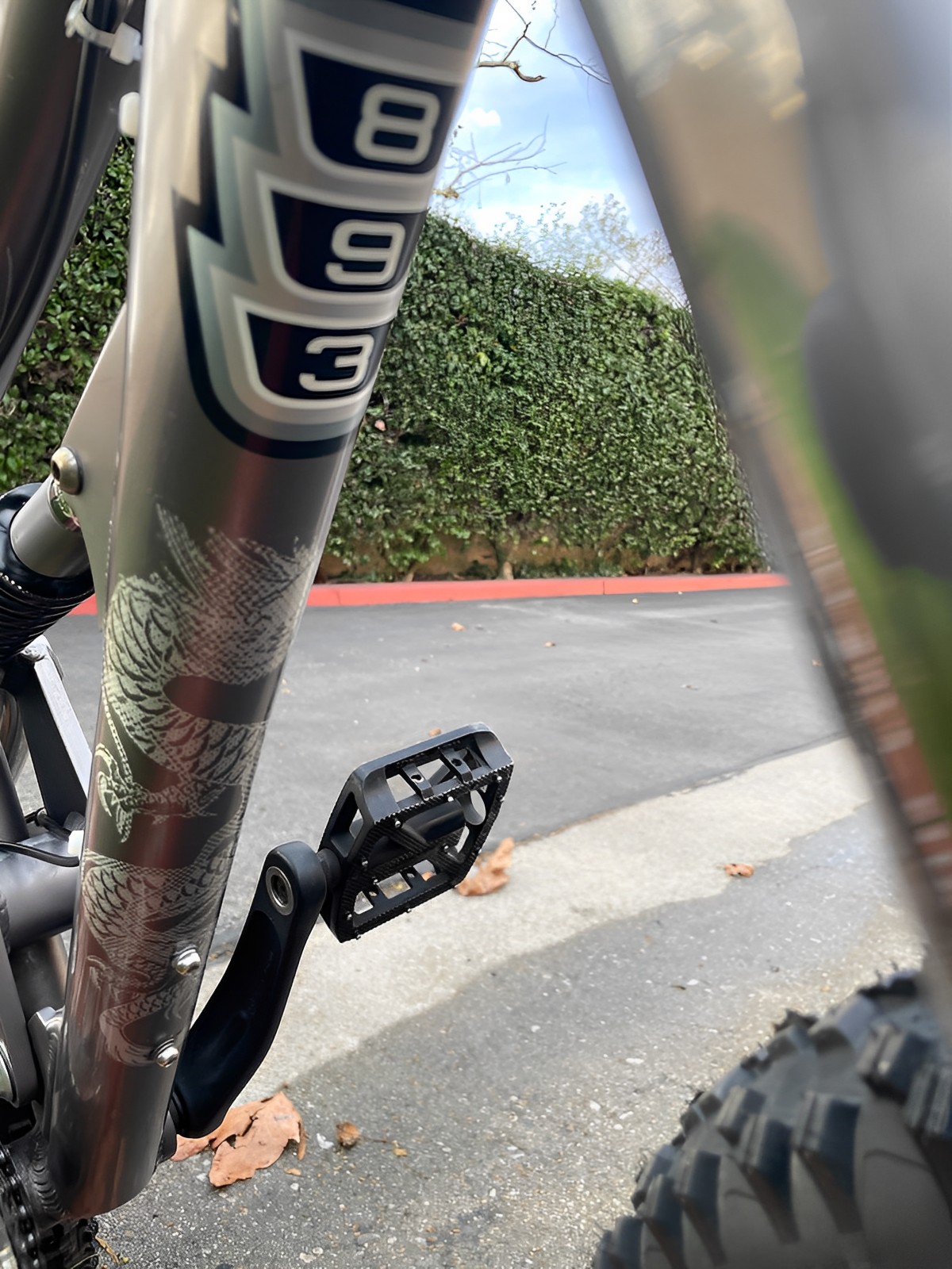 bike-pictures