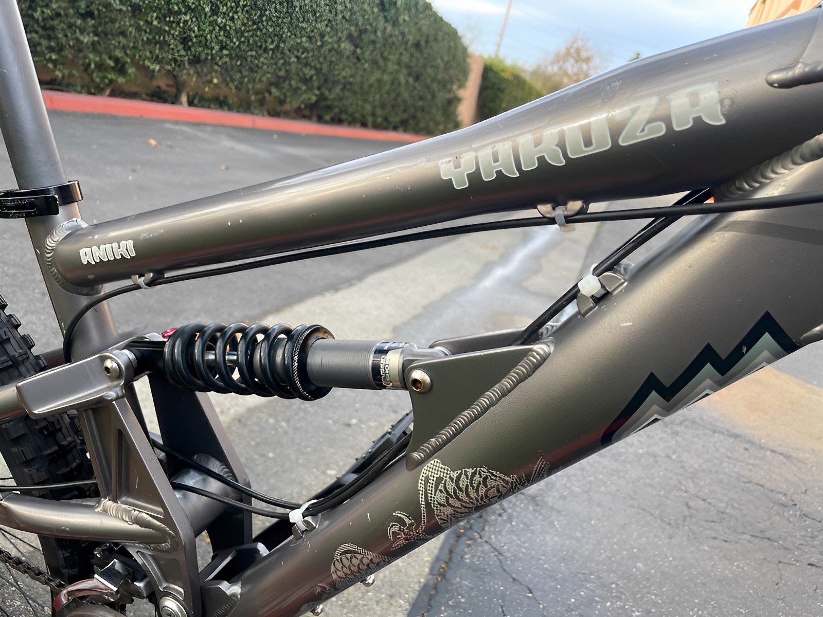 bike-pictures