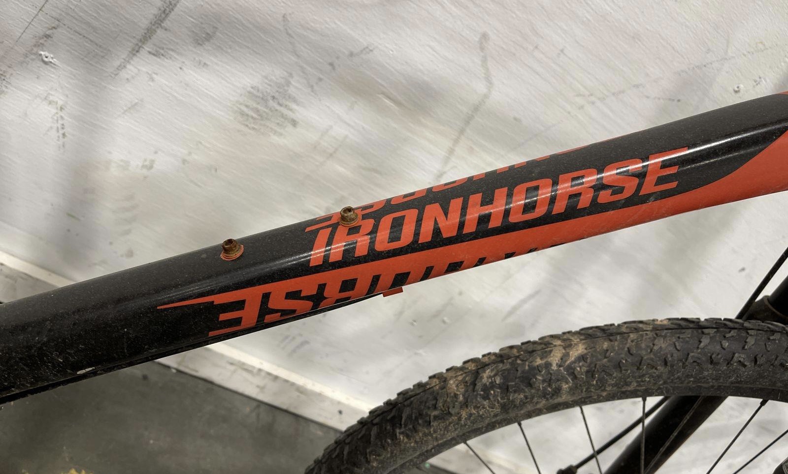 bike-pictures