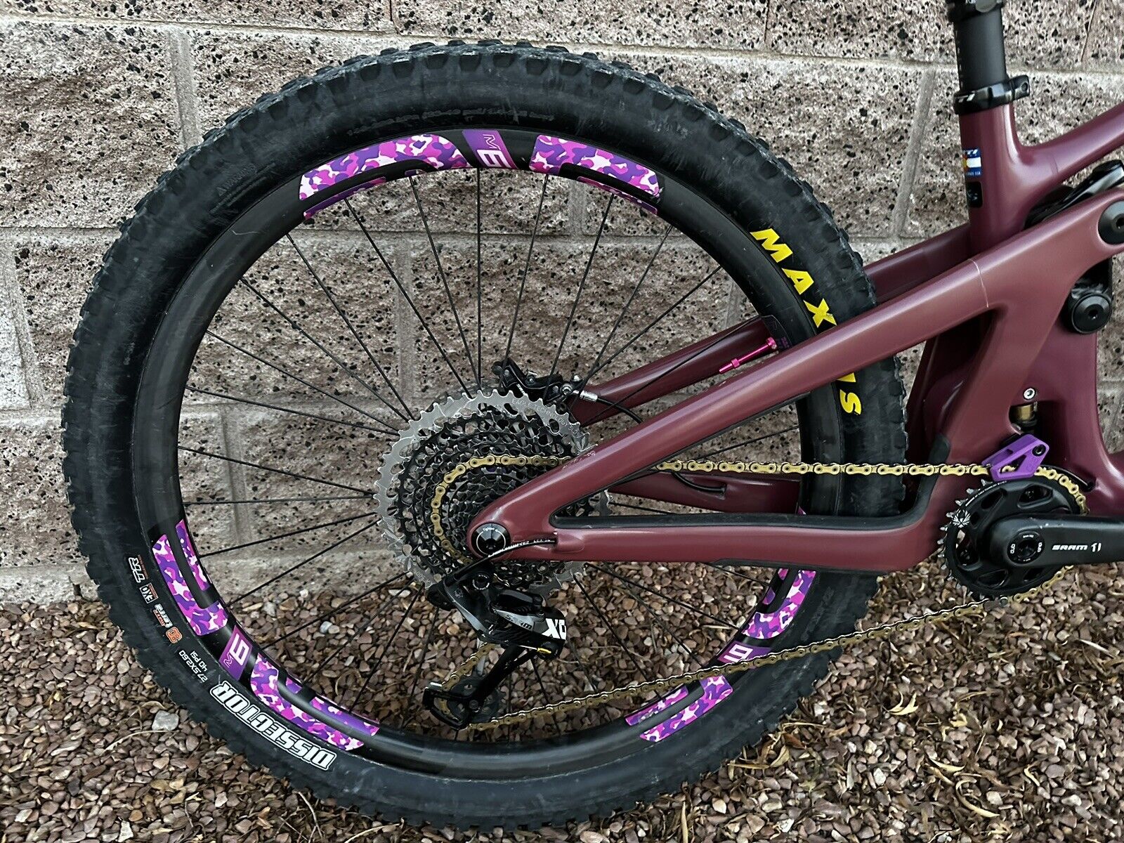 bike-pictures
