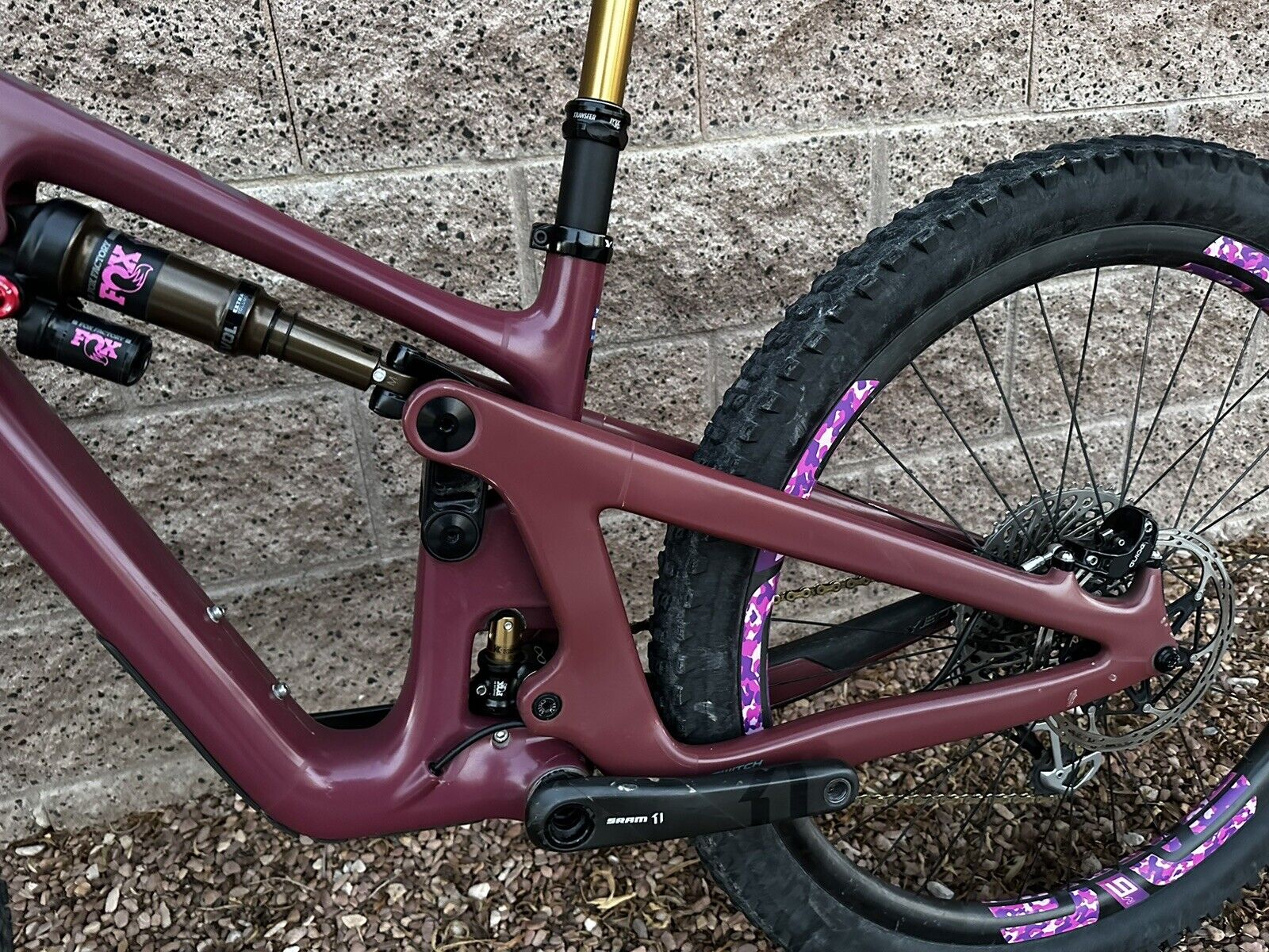 bike-pictures
