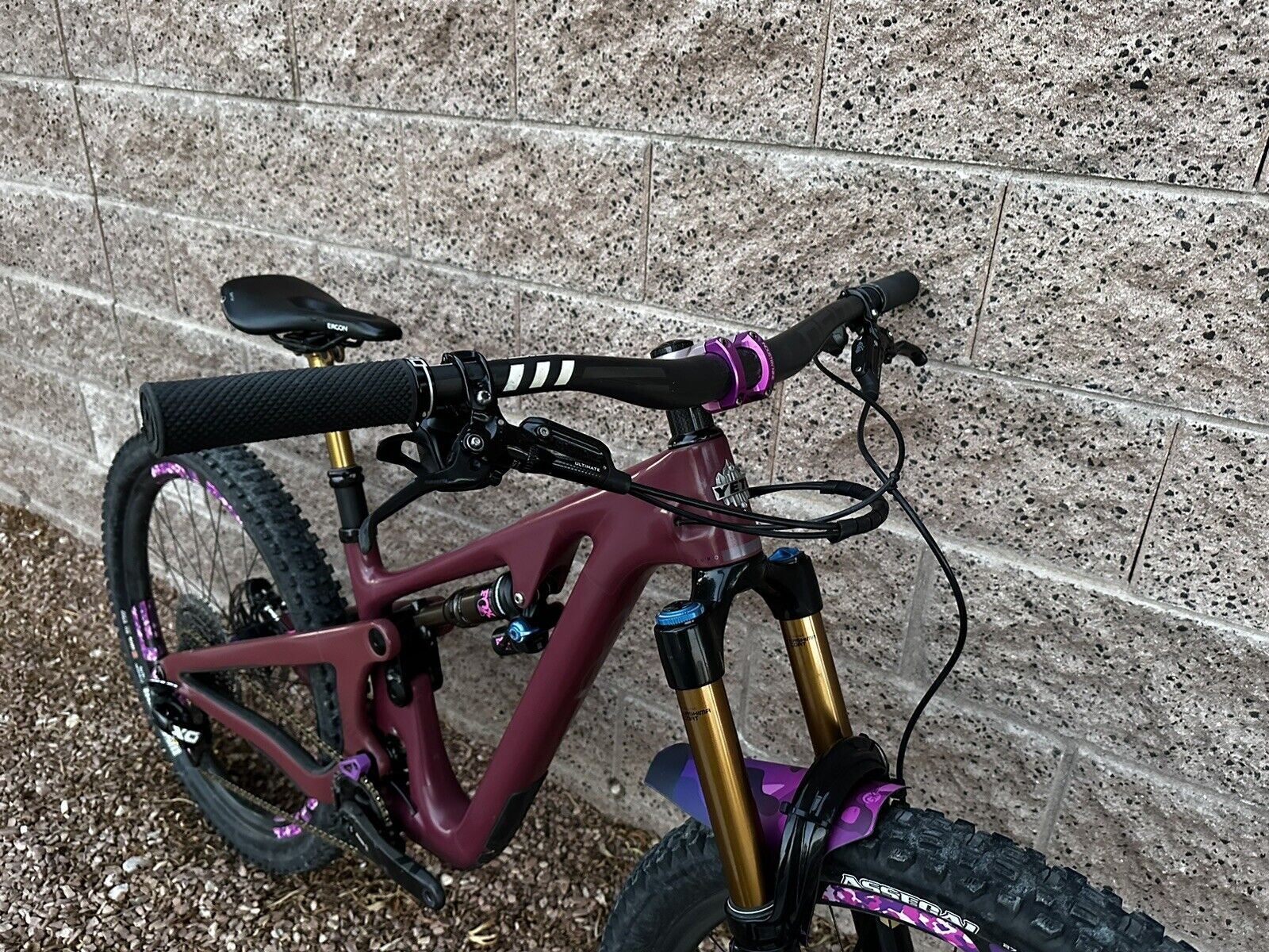 bike-pictures