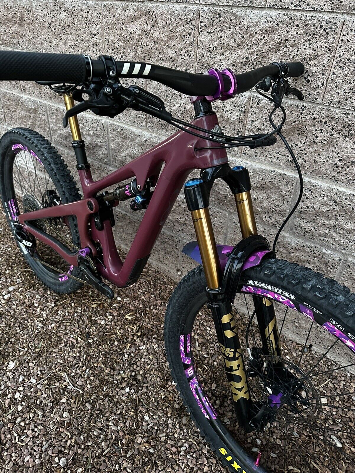 bike-pictures