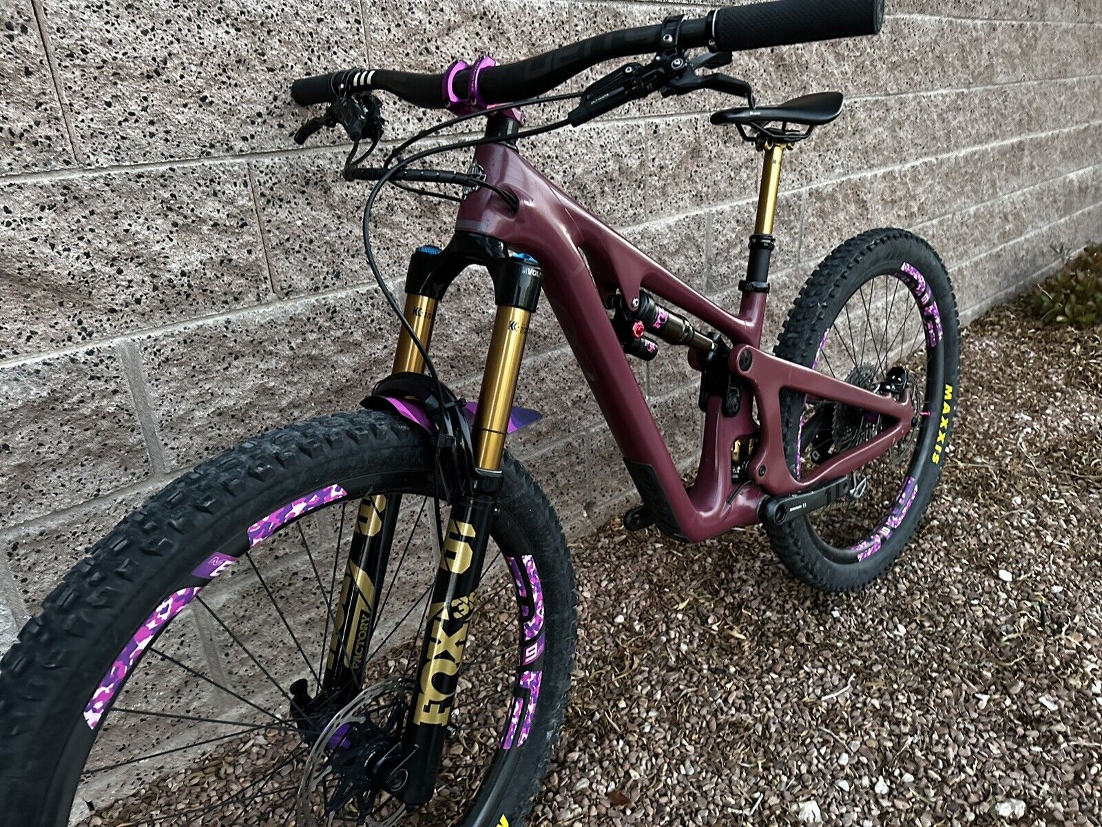 bike-pictures