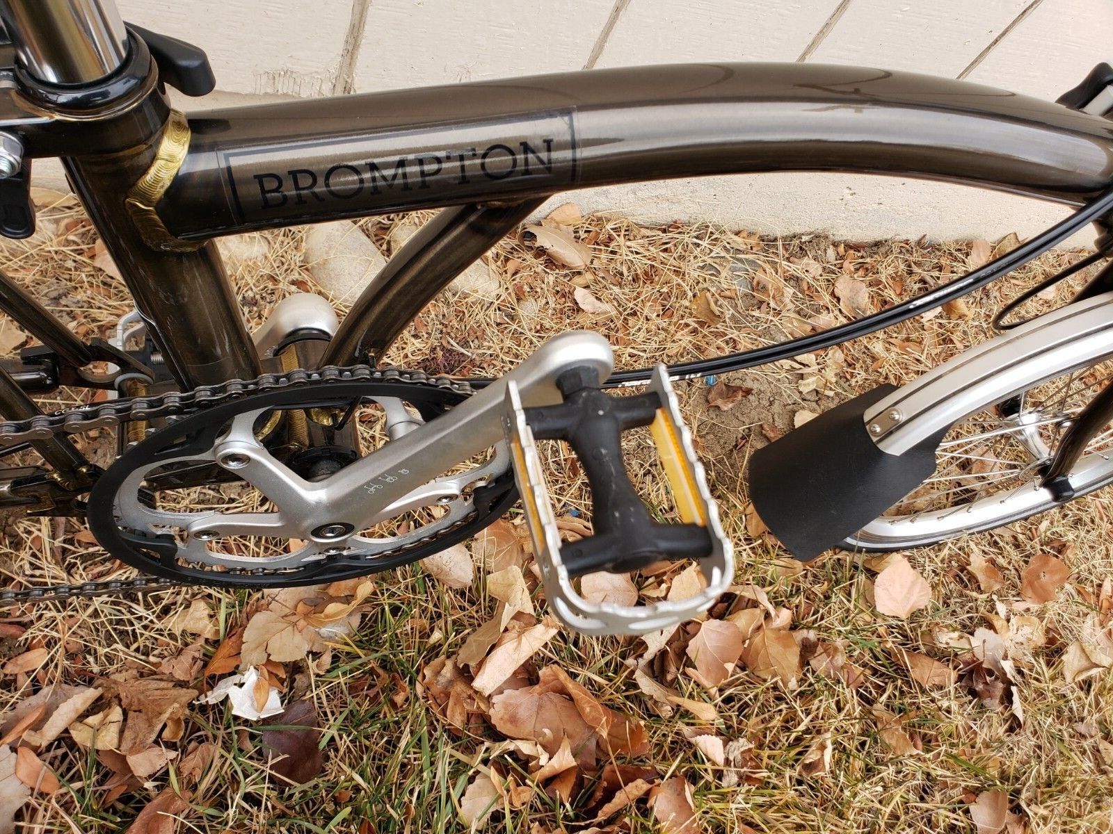 bike-pictures