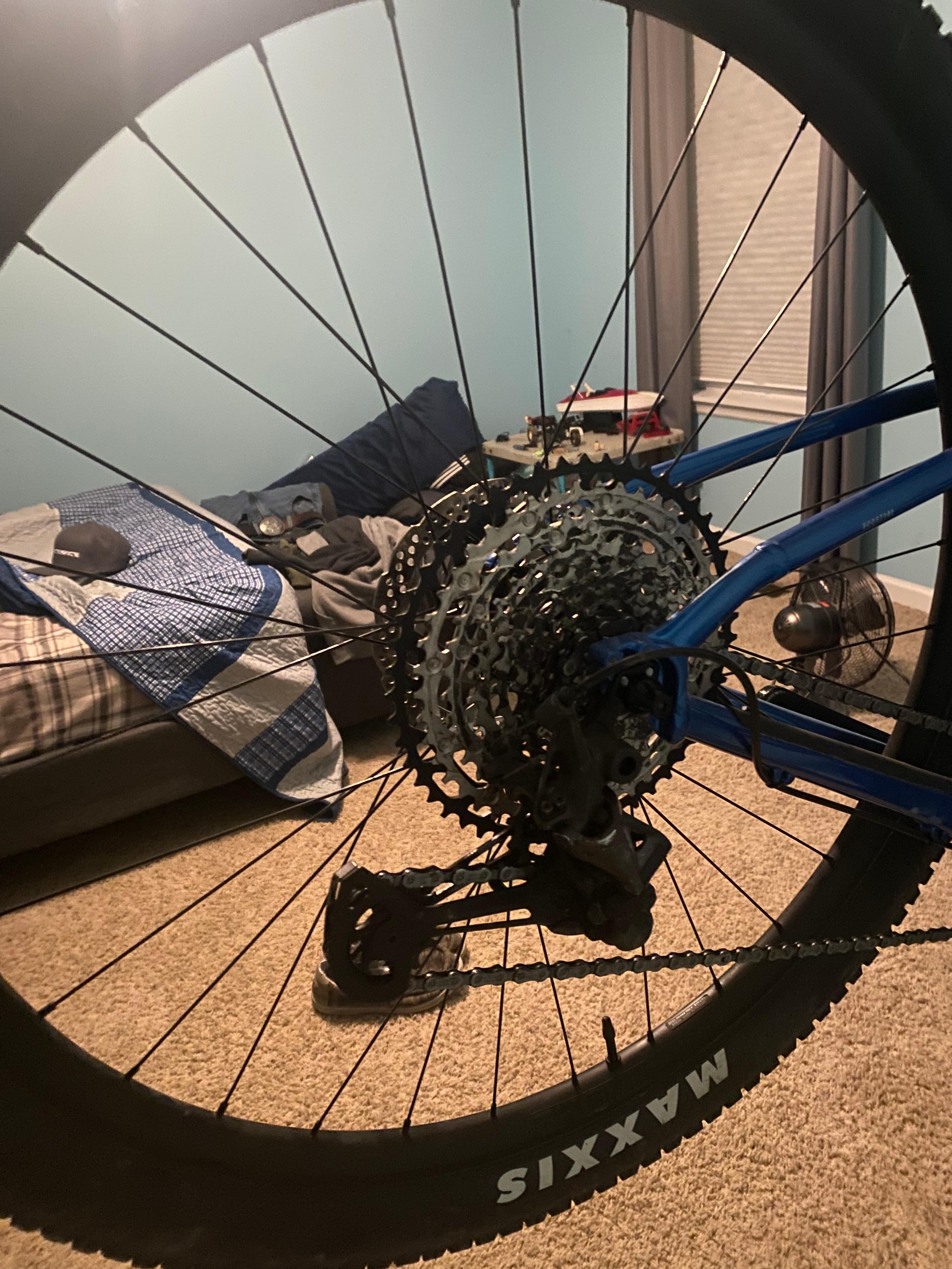 bike-pictures