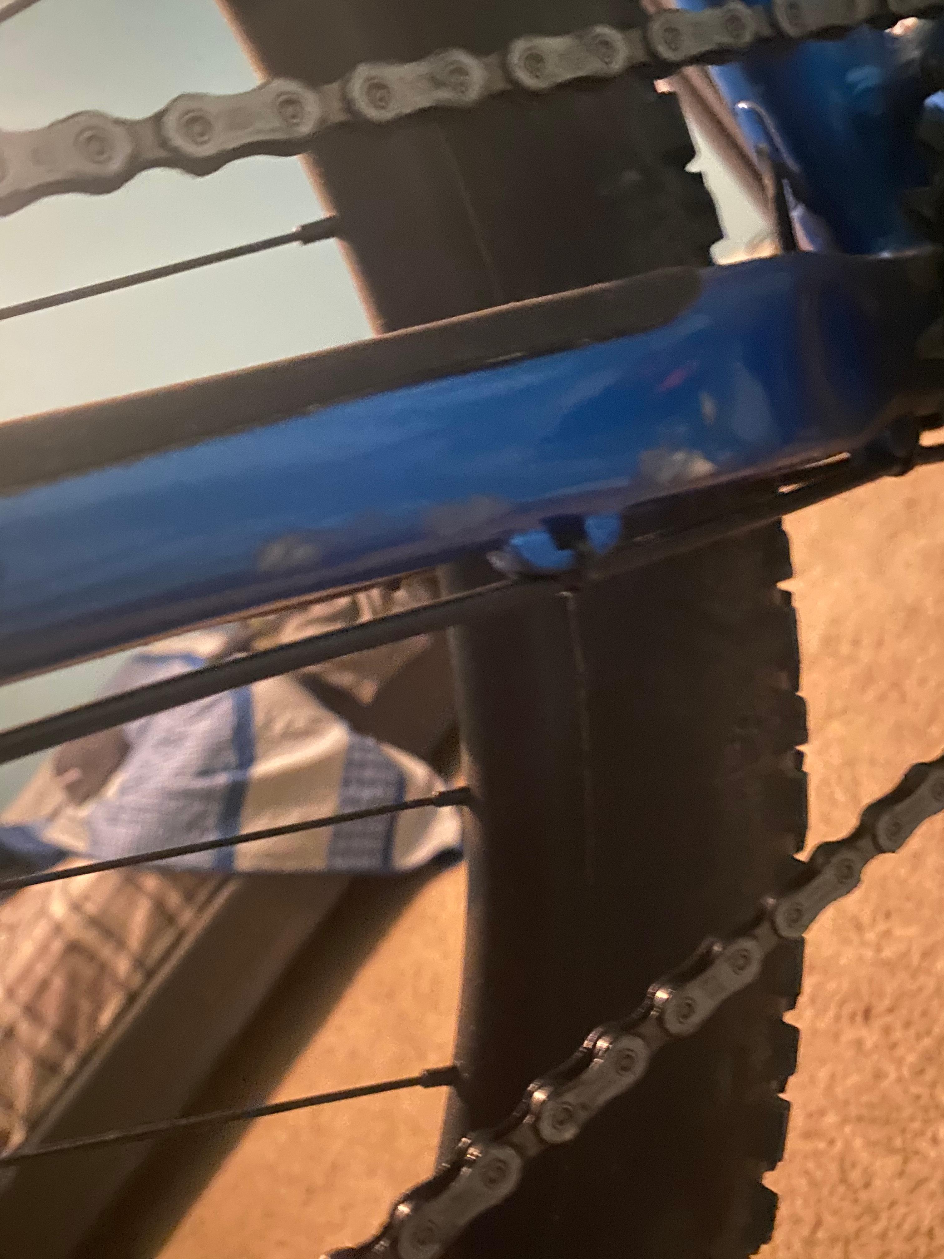 bike-pictures