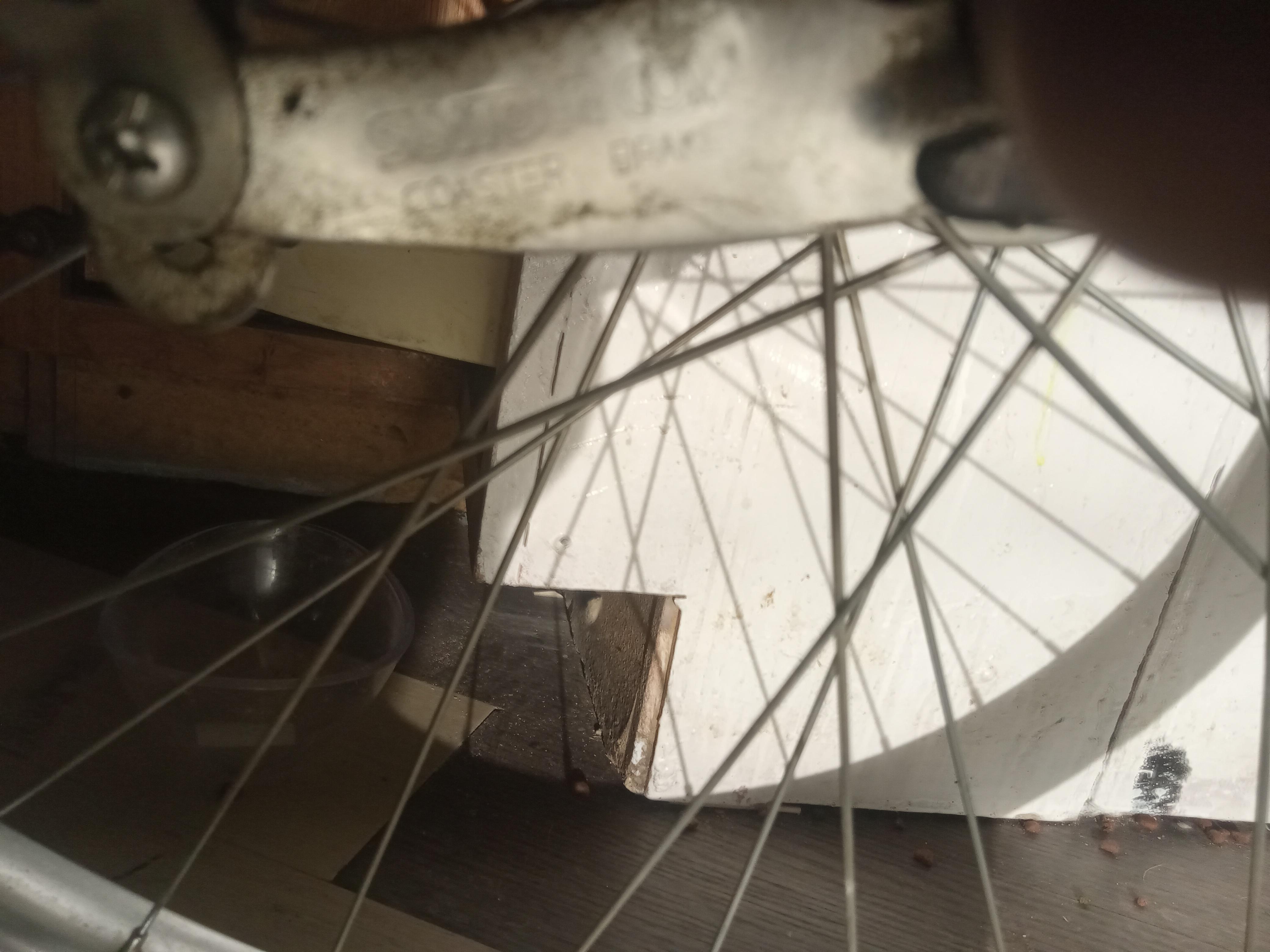 bike-pictures