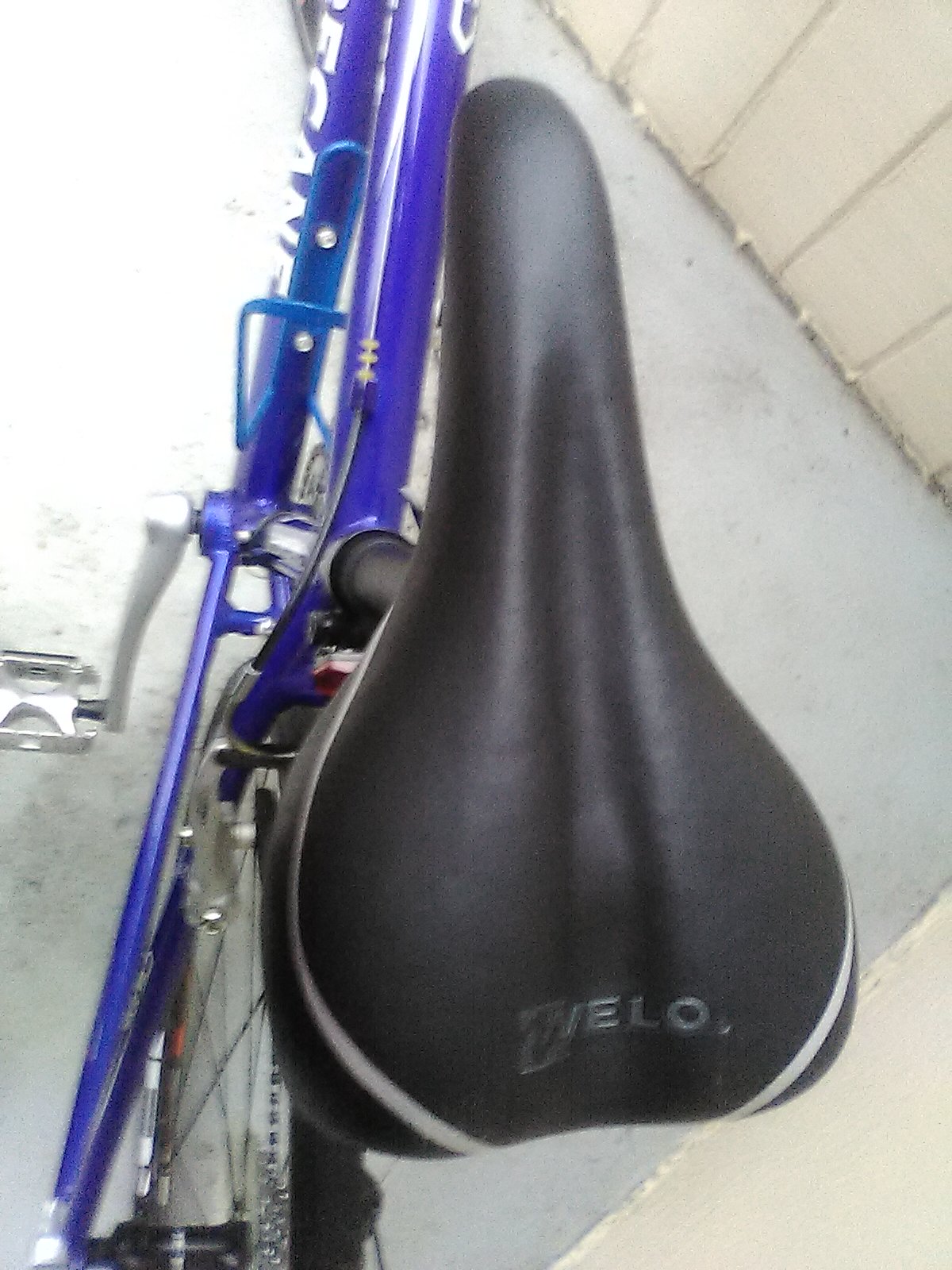 bike-pictures