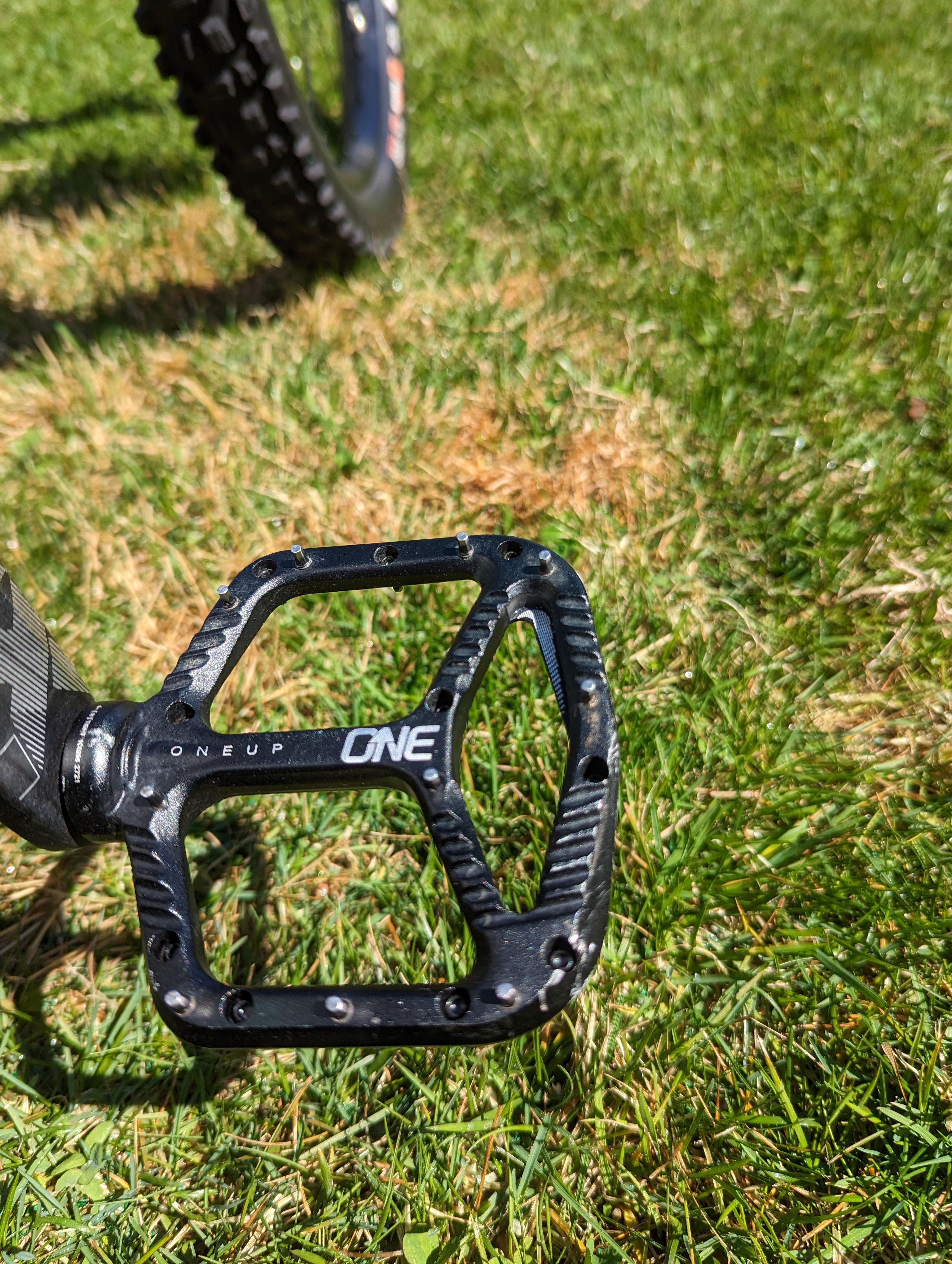 bike-pictures