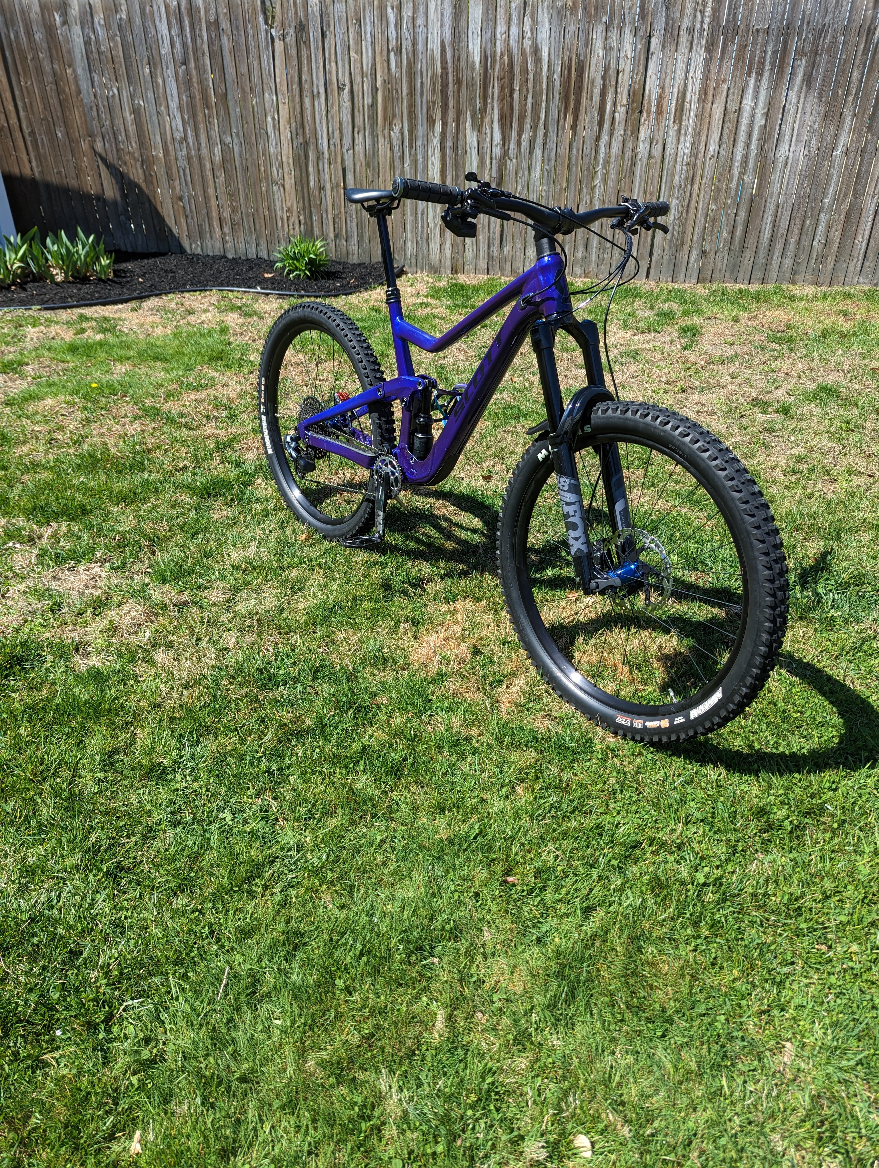 bike-pictures