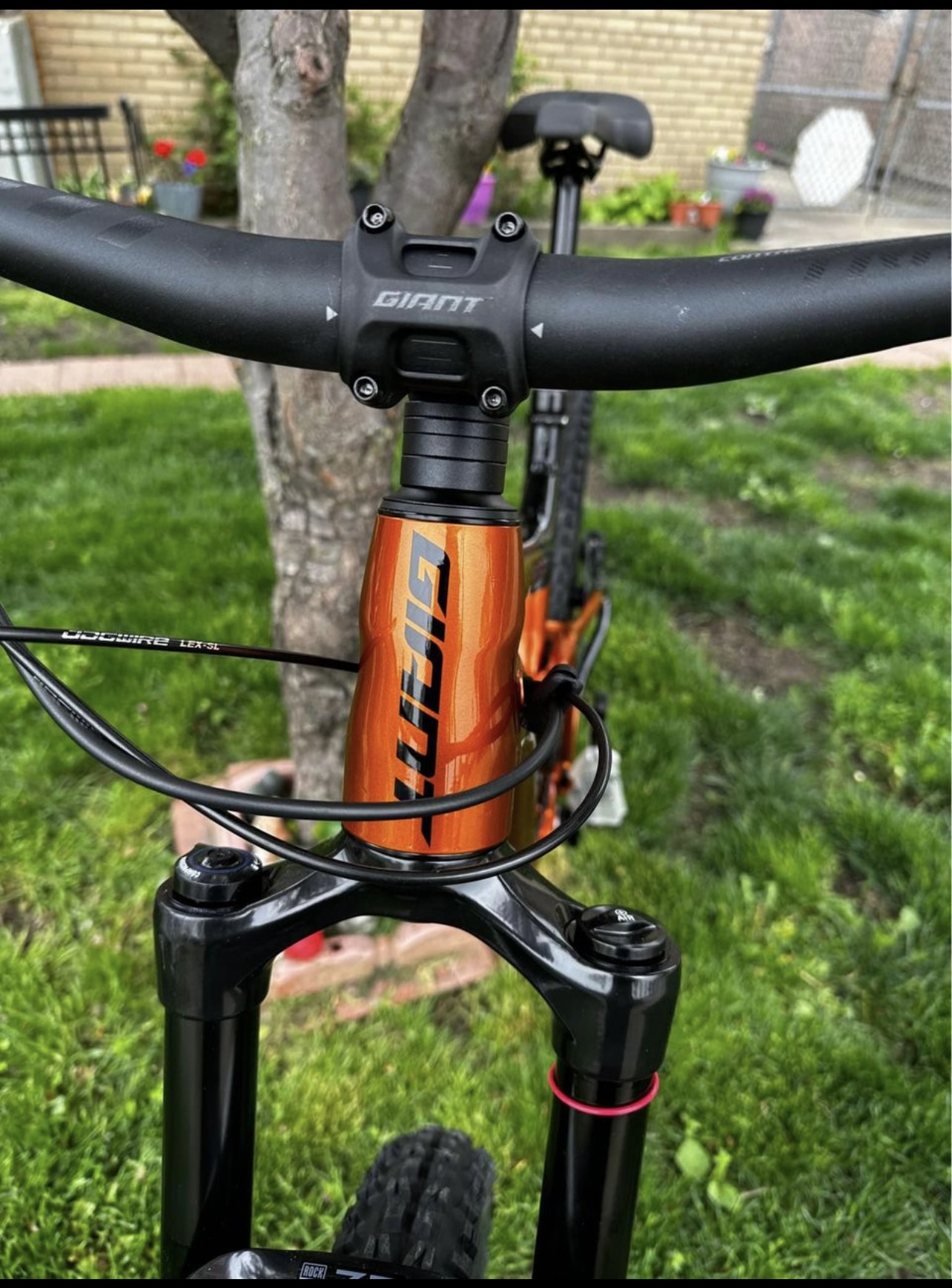 bike-pictures