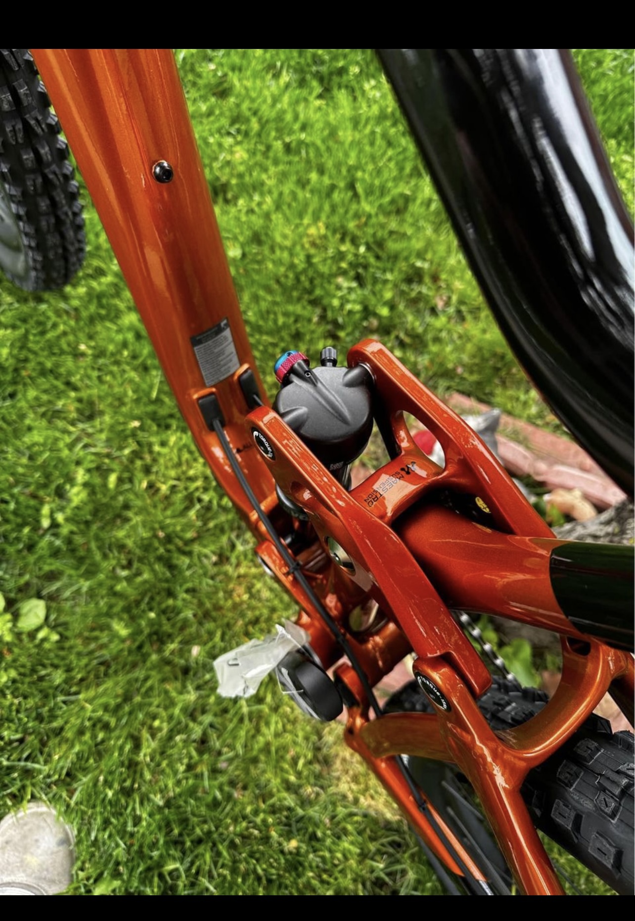 bike-pictures