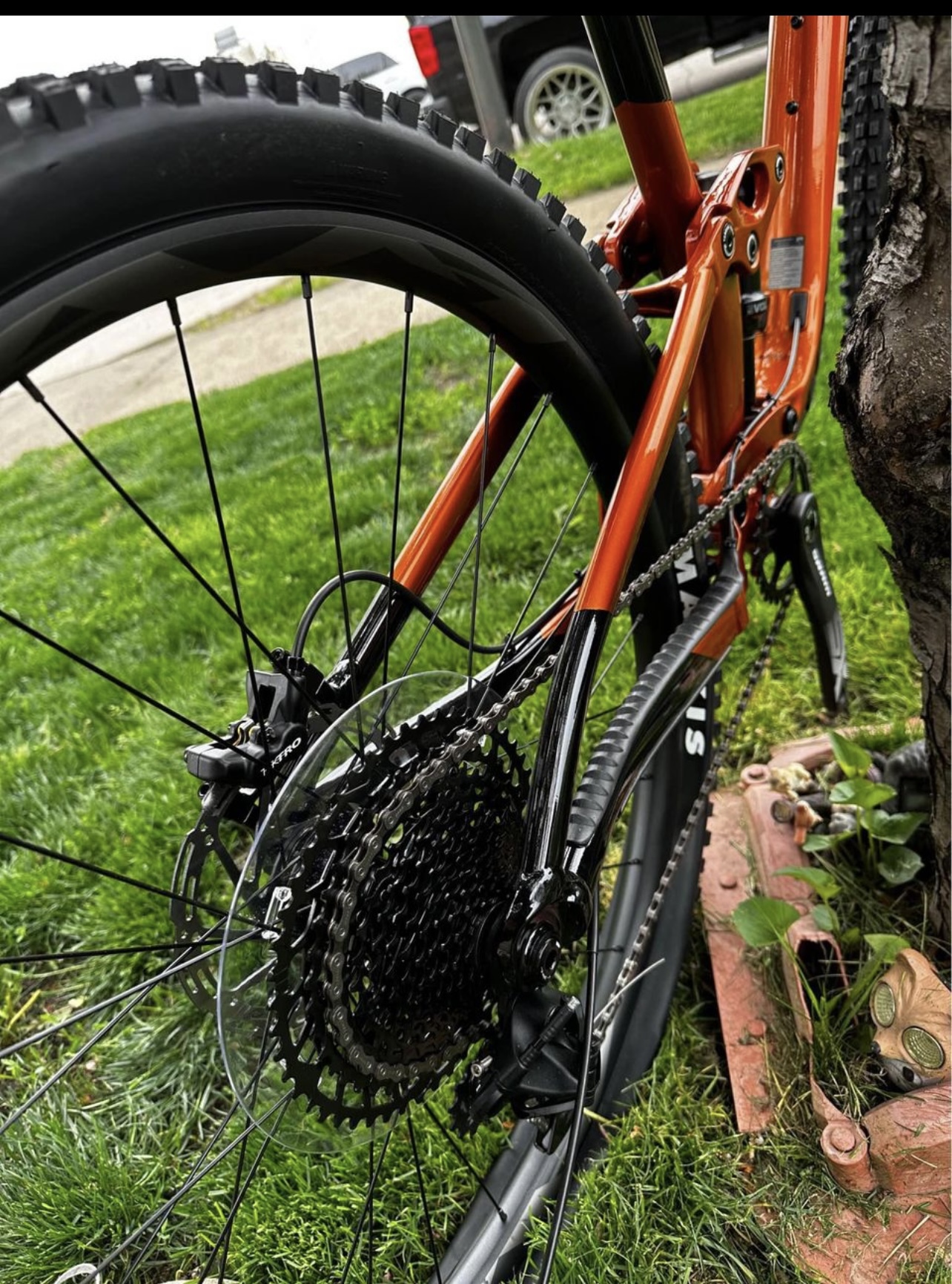 bike-pictures