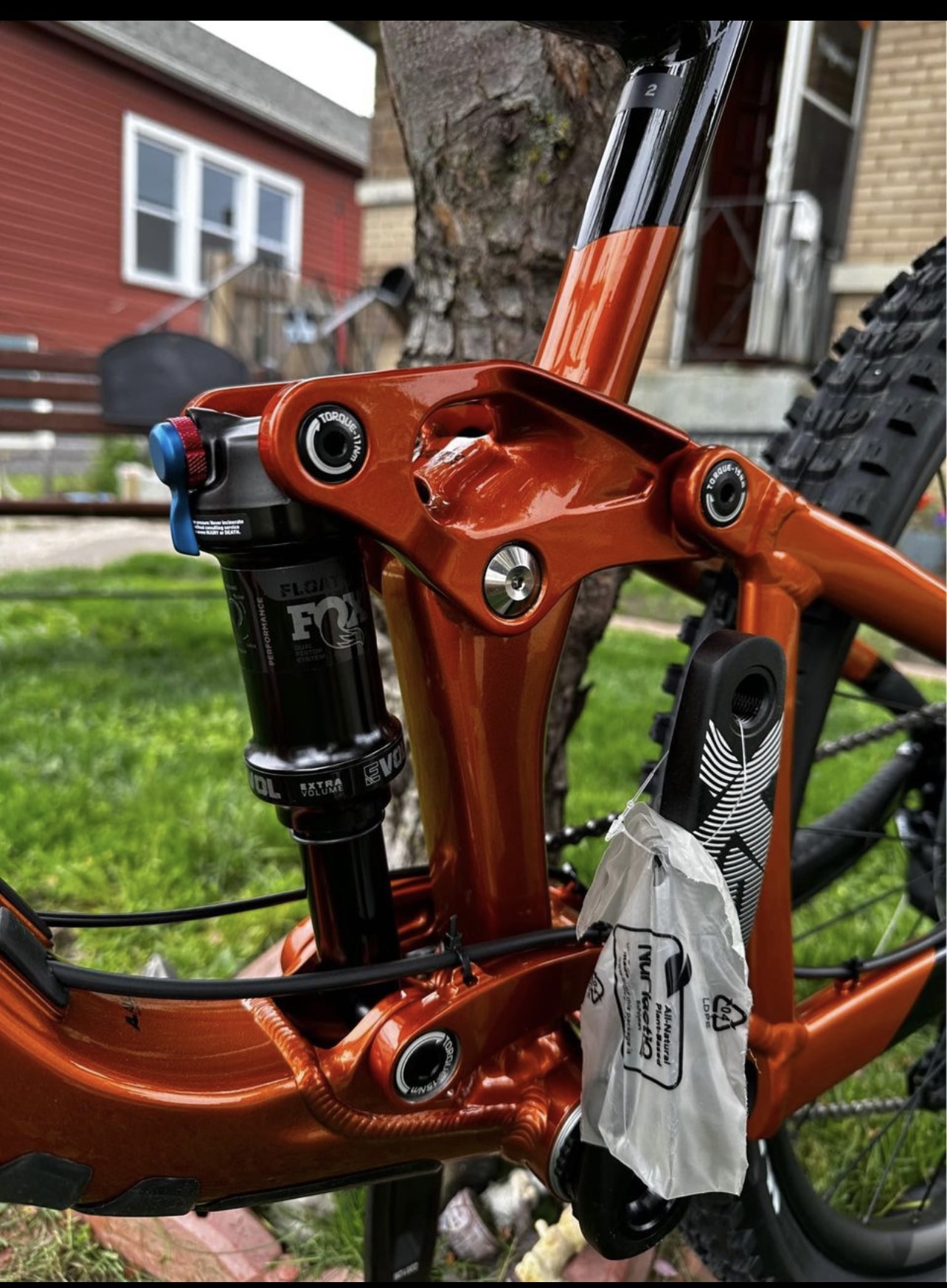 bike-pictures