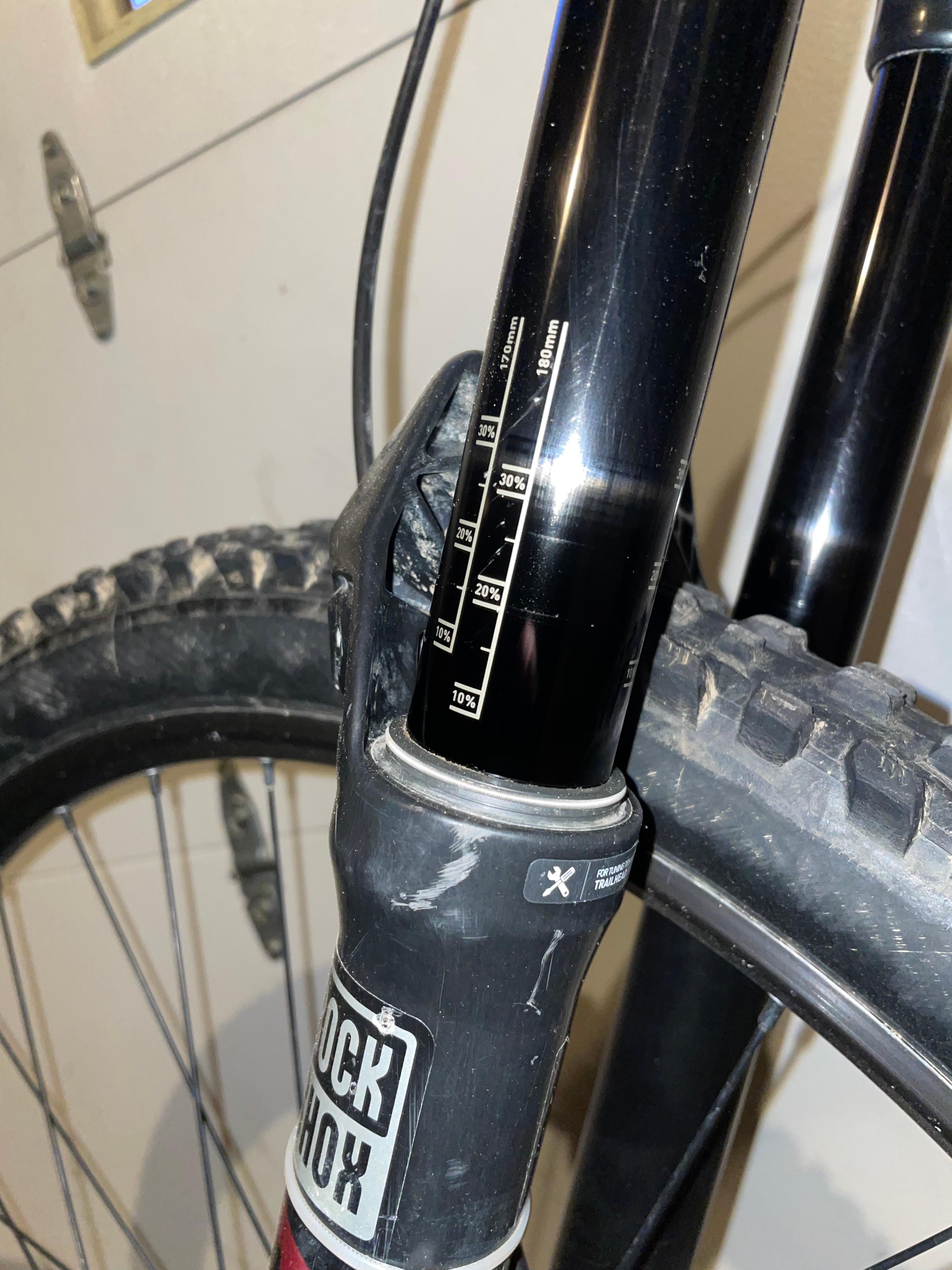 bike-pictures