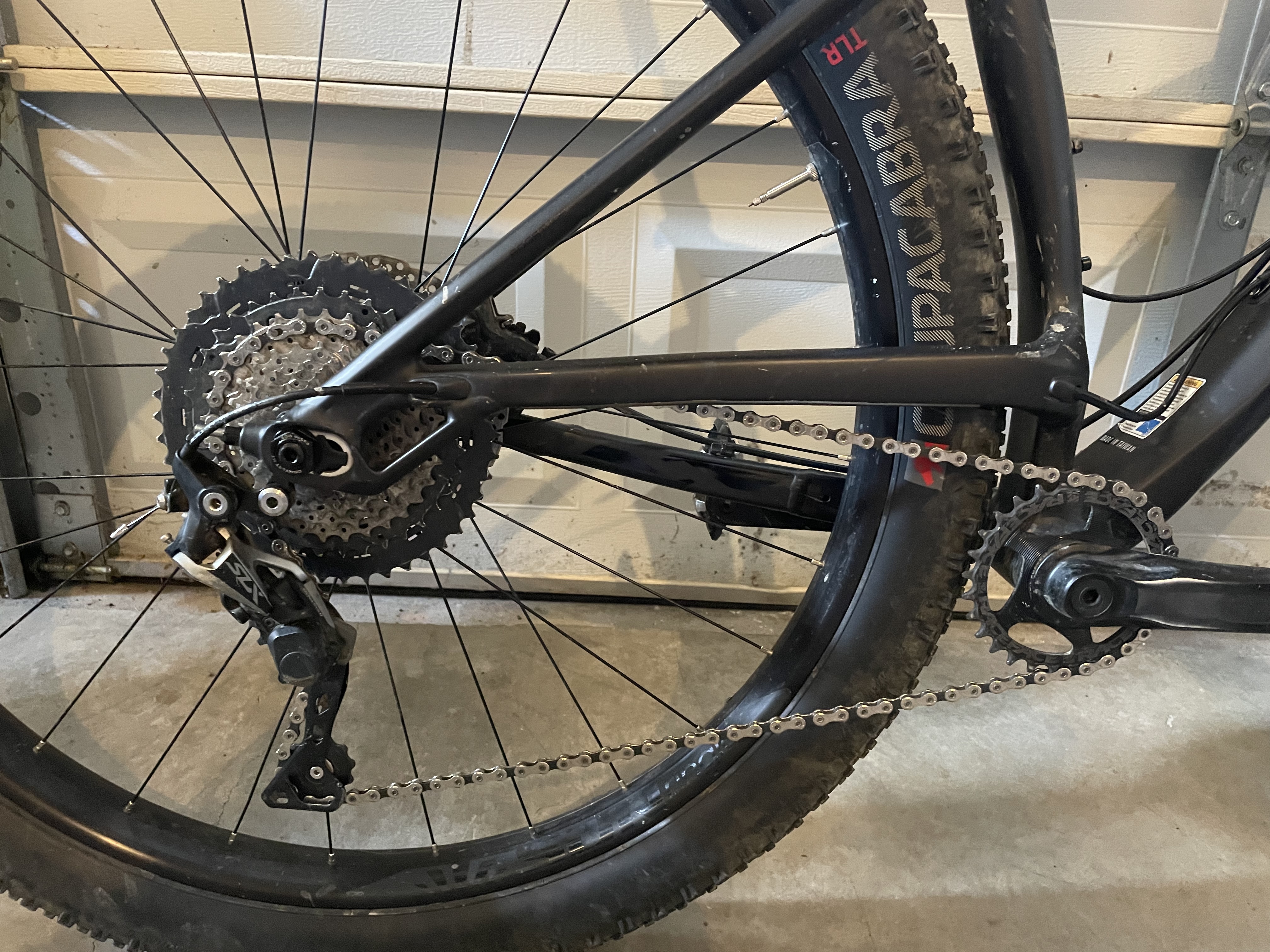 bike-pictures