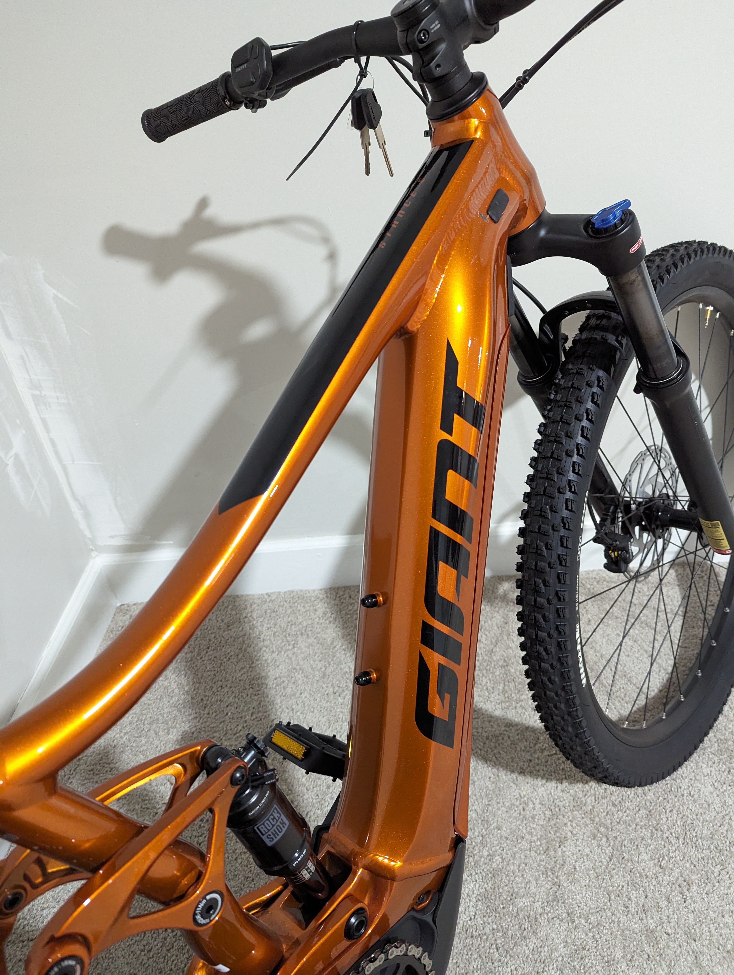 bike-pictures