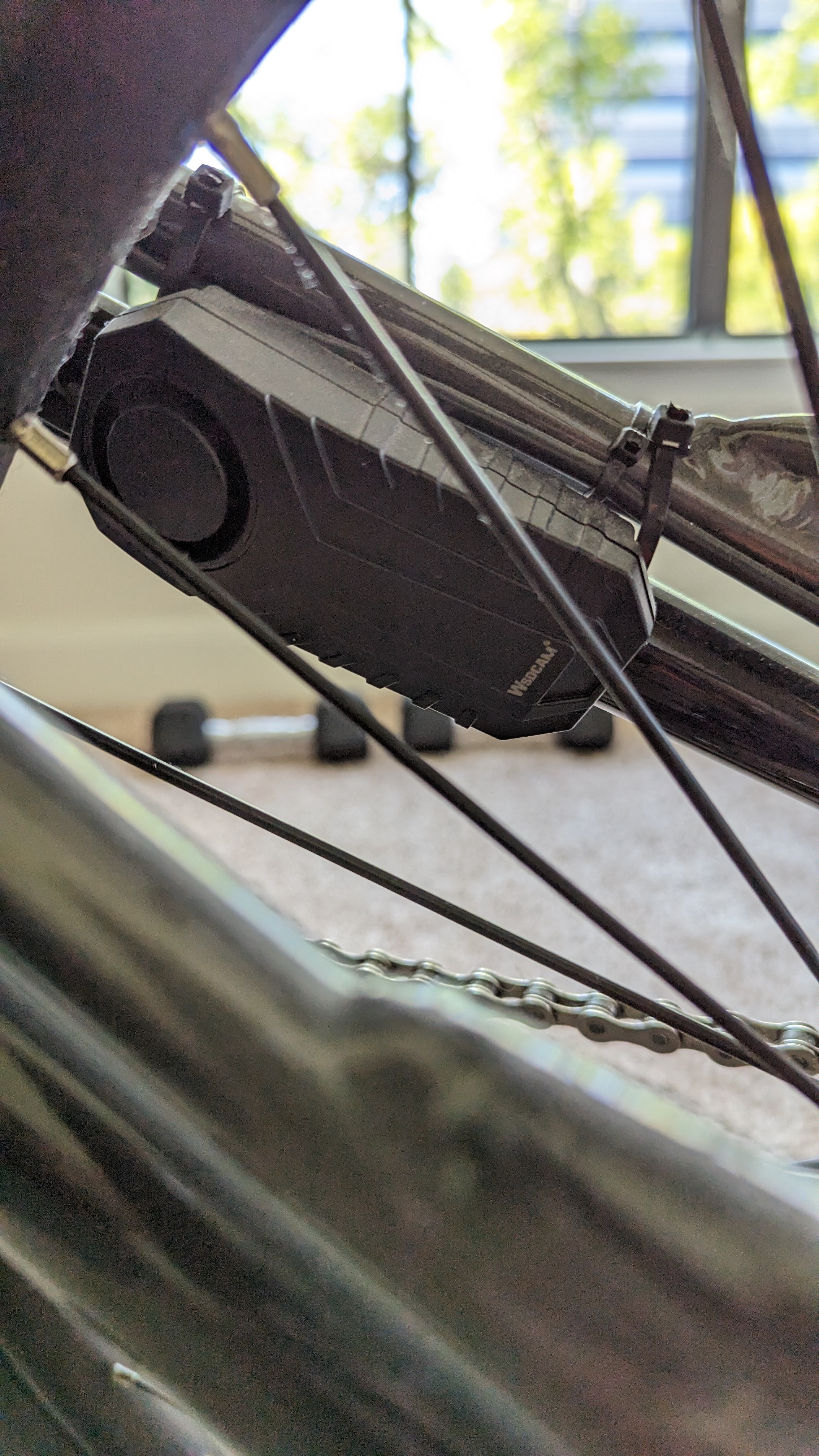 bike-pictures