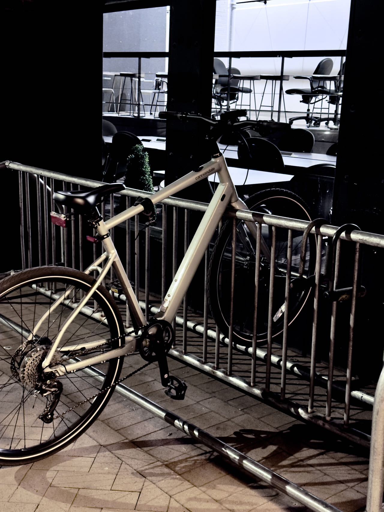 bike-pictures