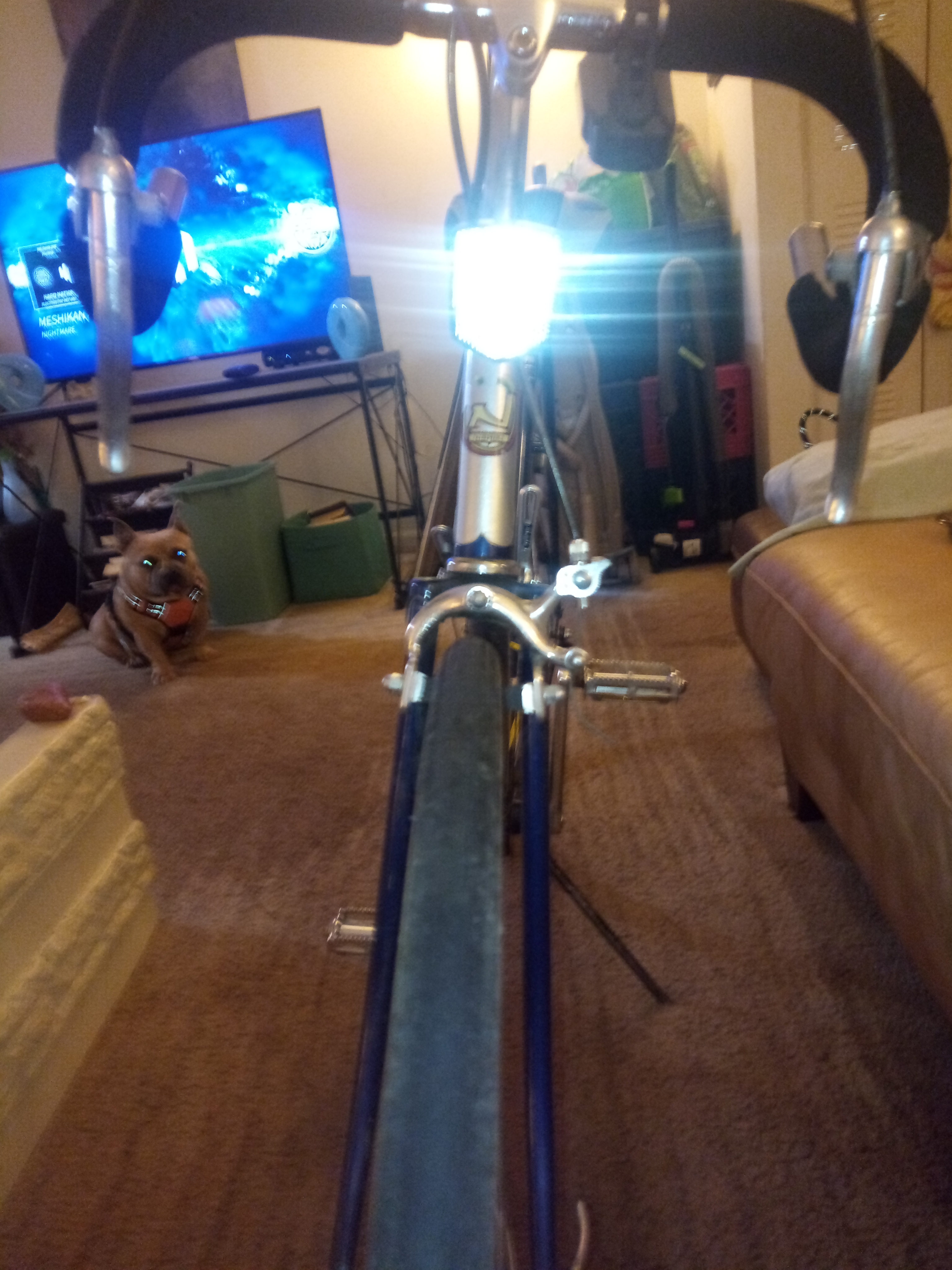 bike-pictures