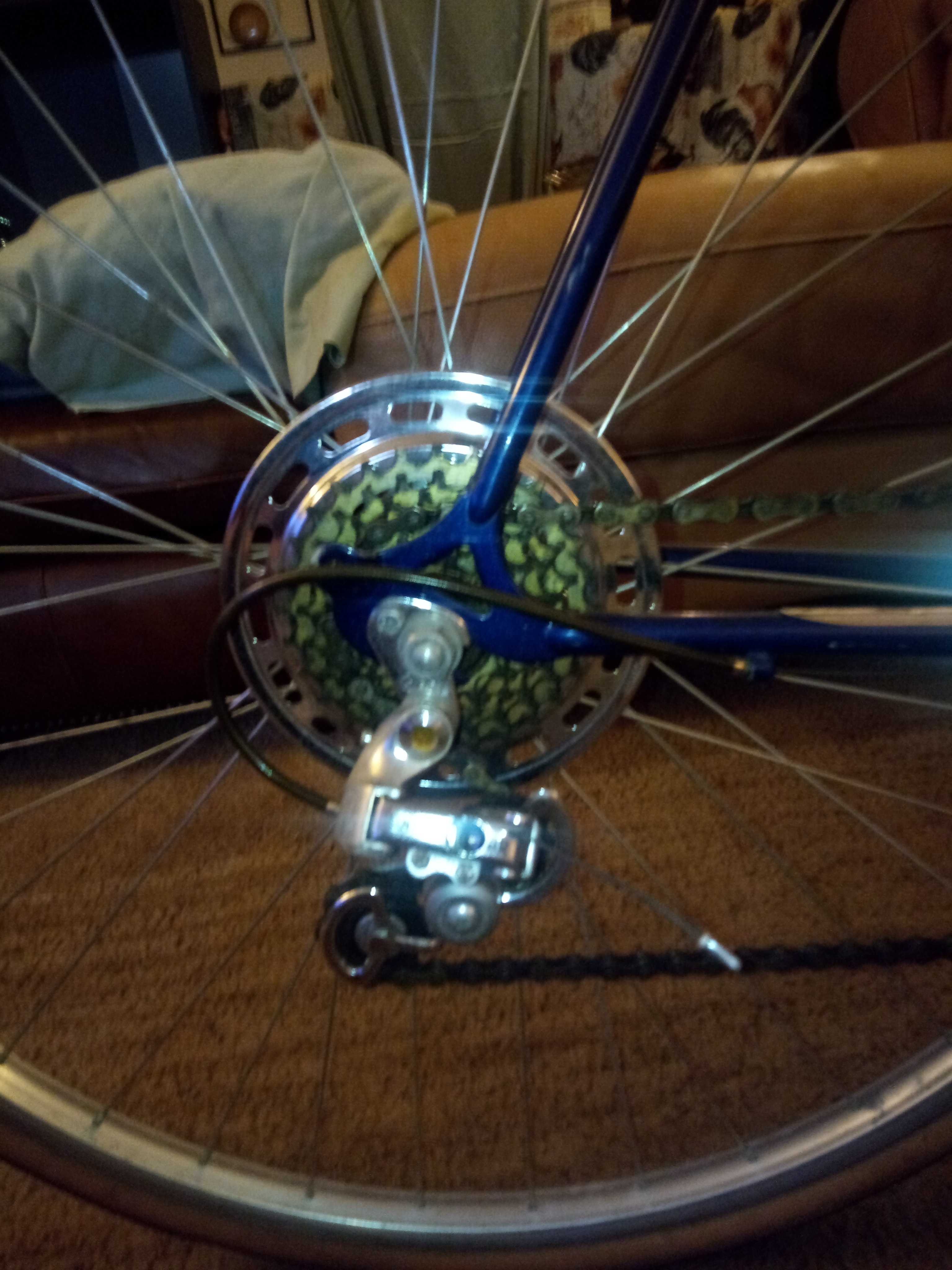 bike-pictures