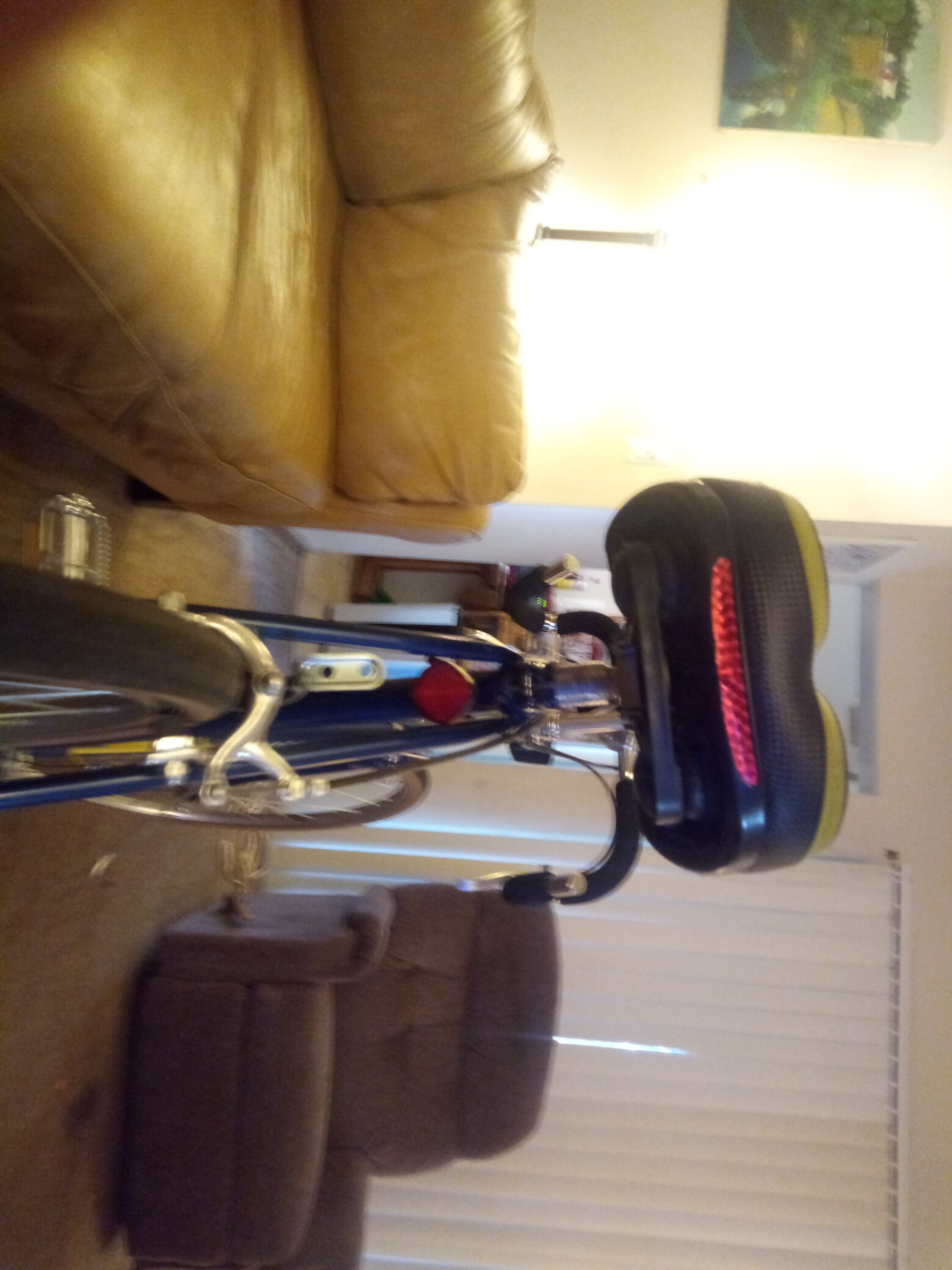 bike-pictures