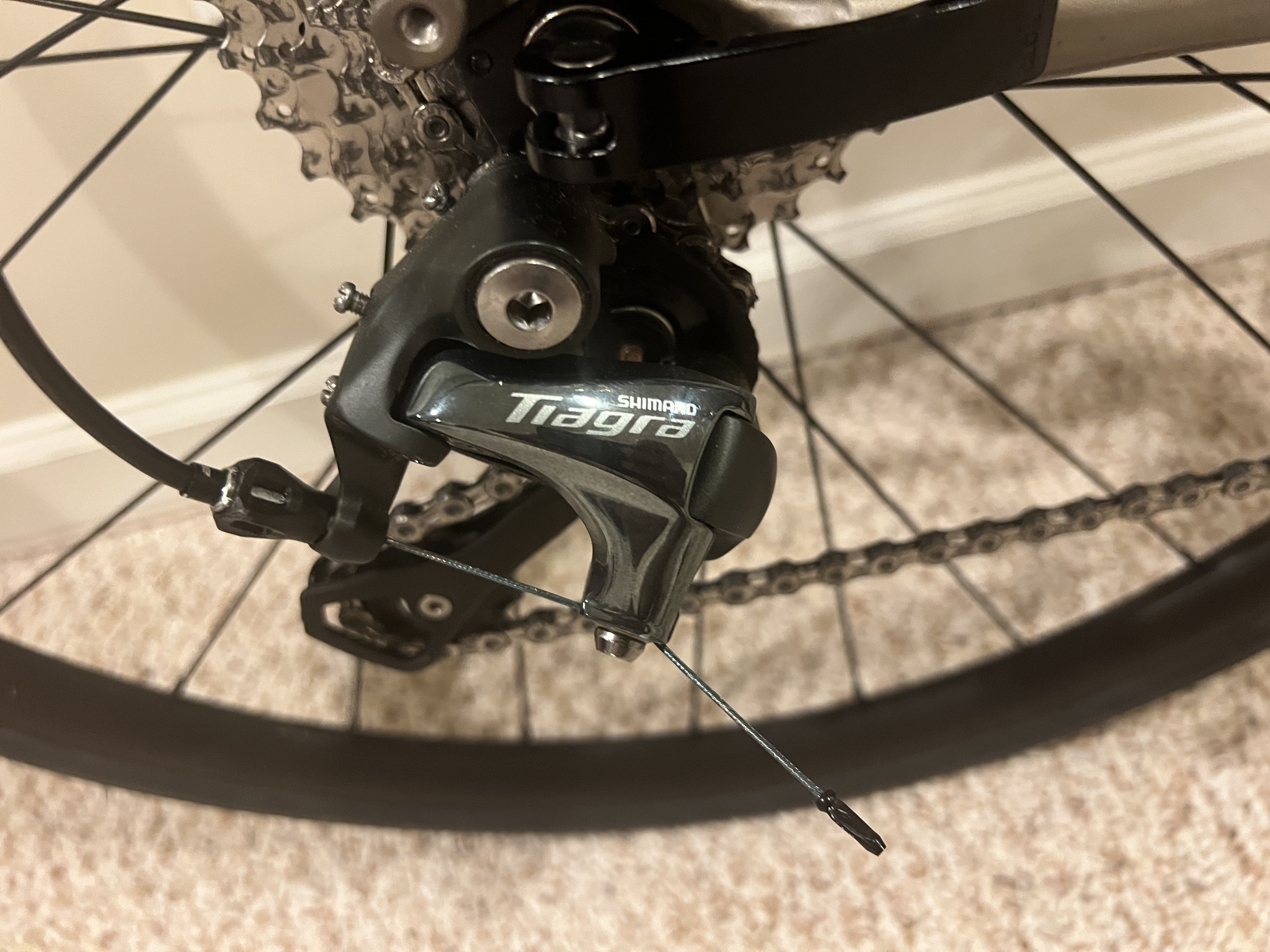 bike-pictures