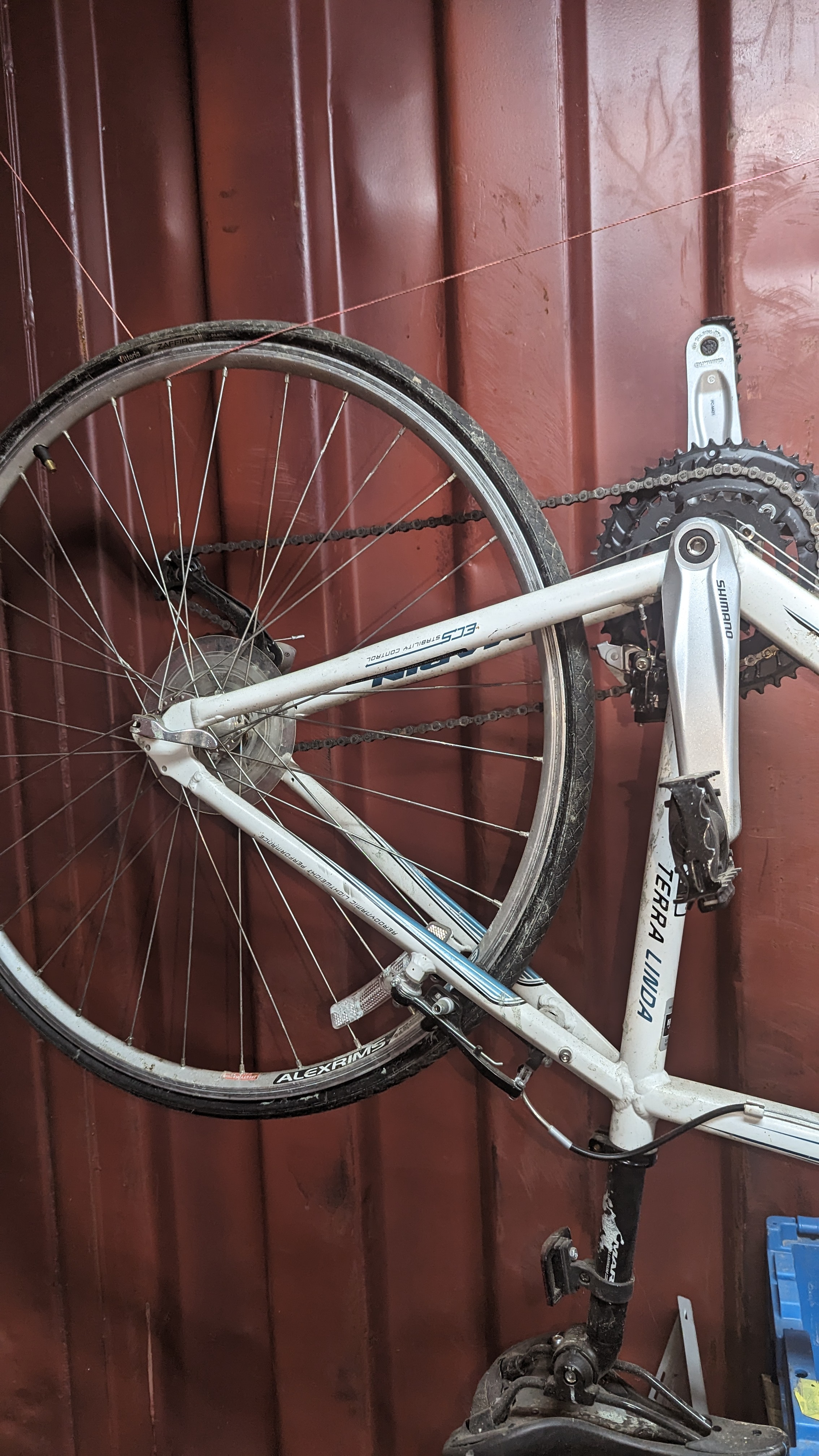 bike-pictures