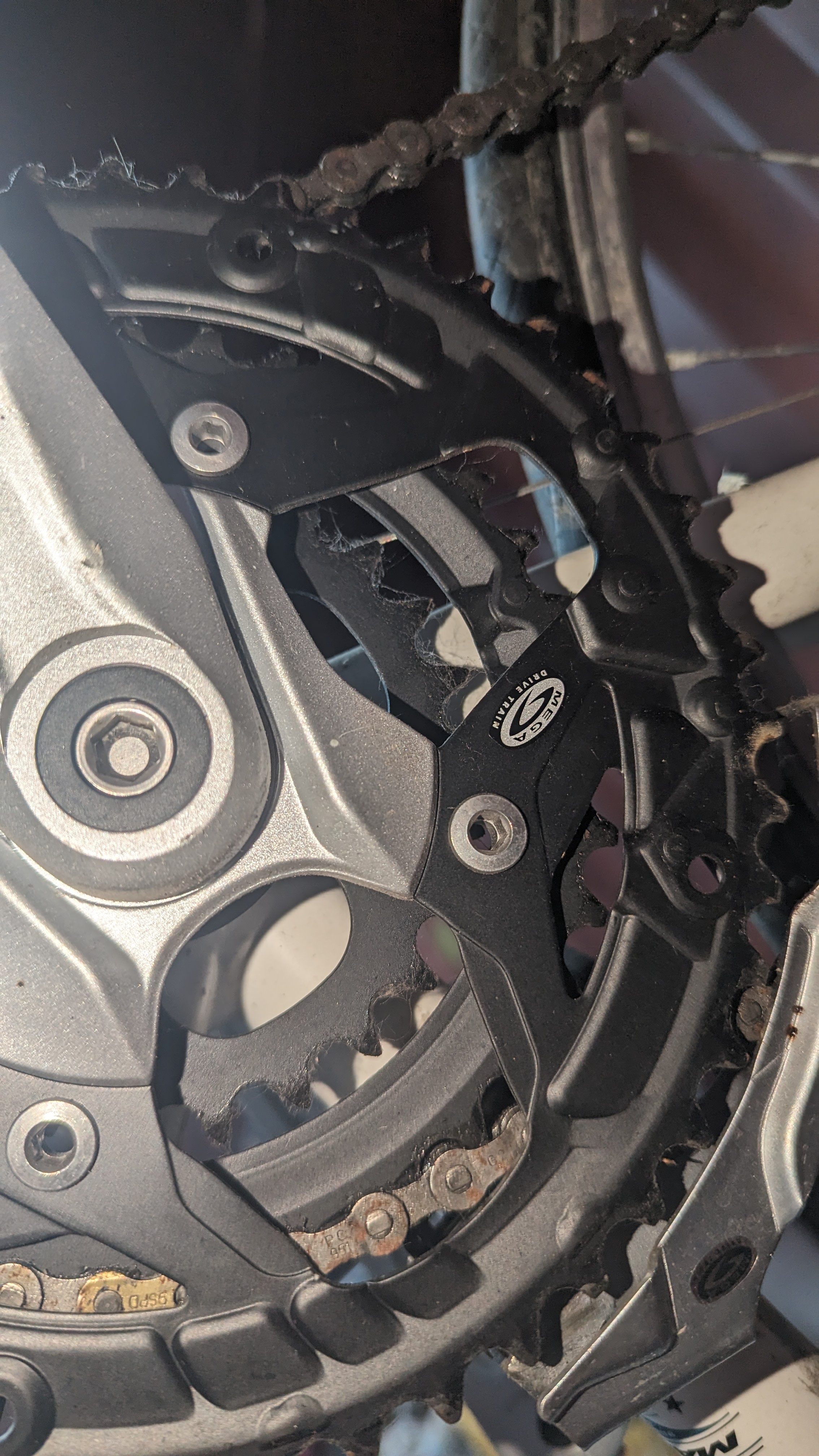 bike-pictures