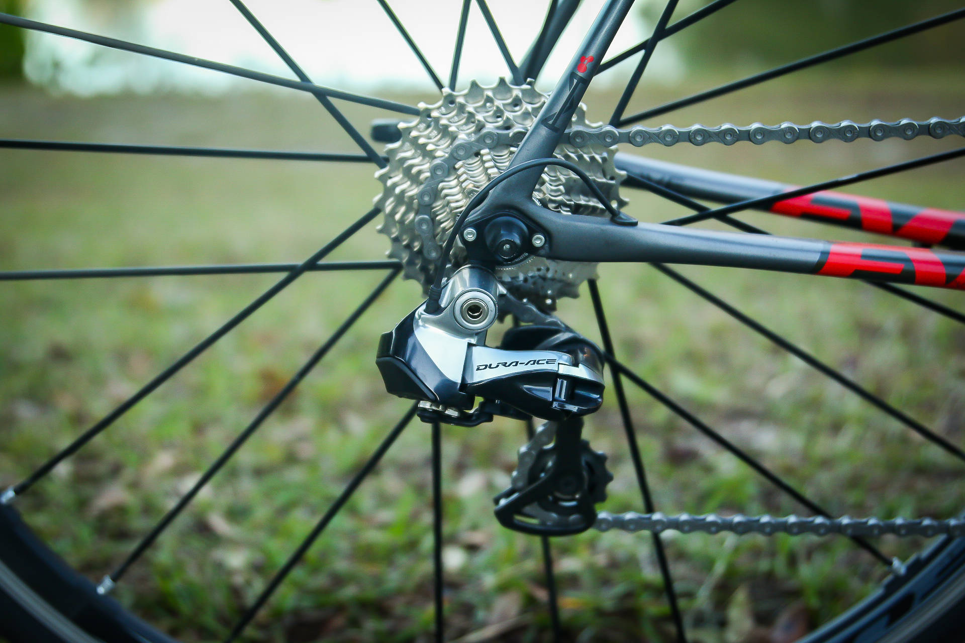bike-pictures