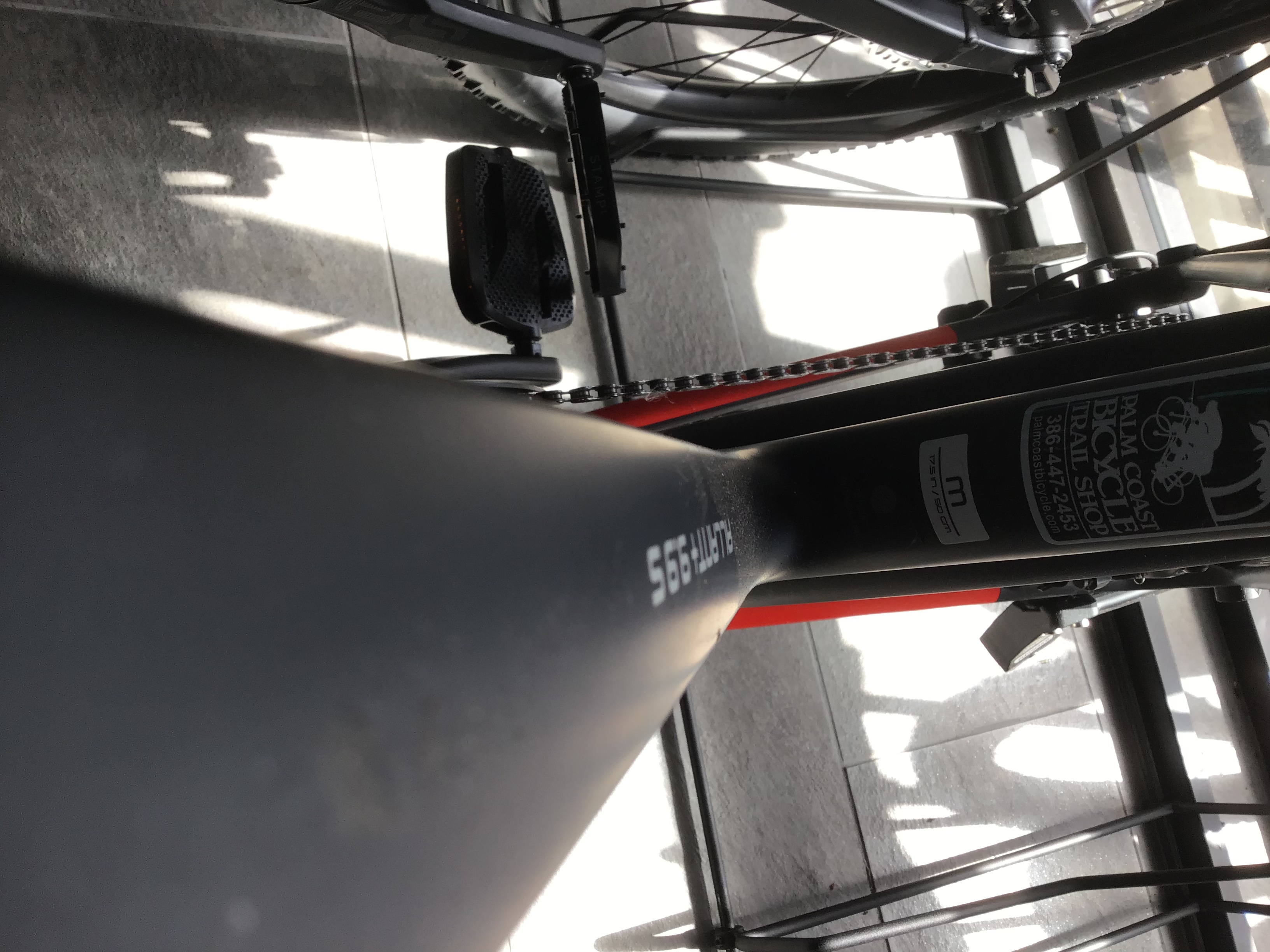 bike-pictures
