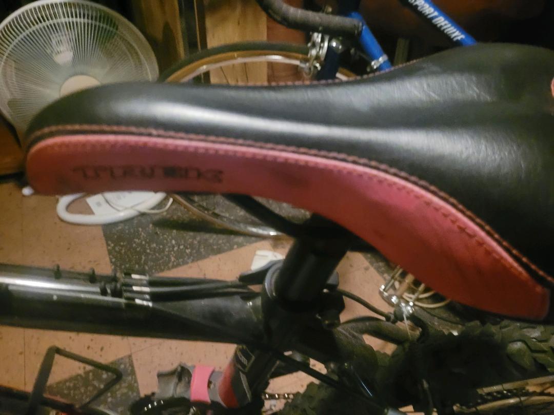 bike-pictures