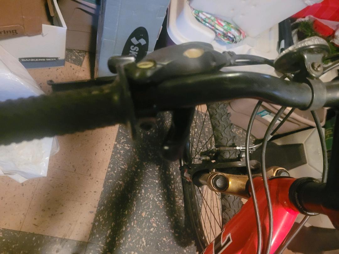 bike-pictures