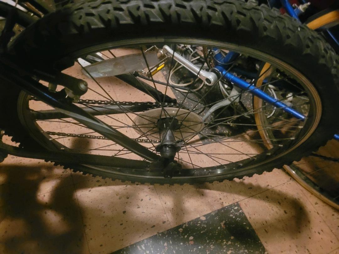 bike-pictures