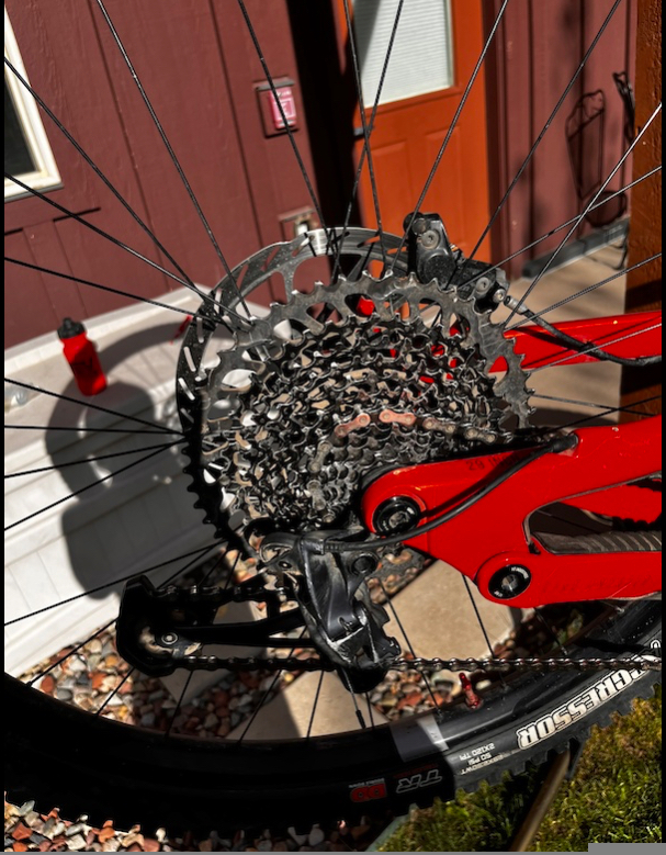 bike-pictures