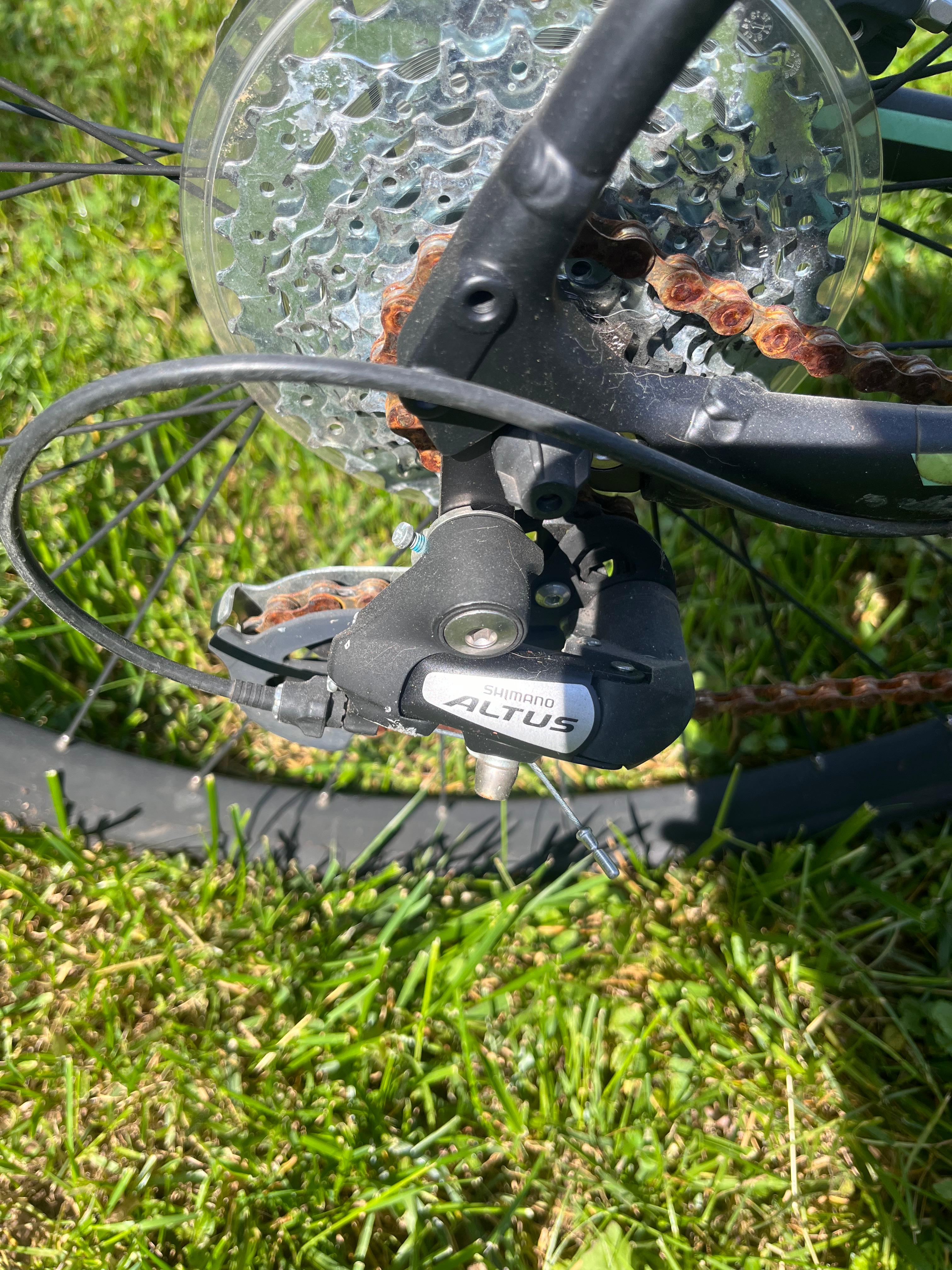 bike-pictures