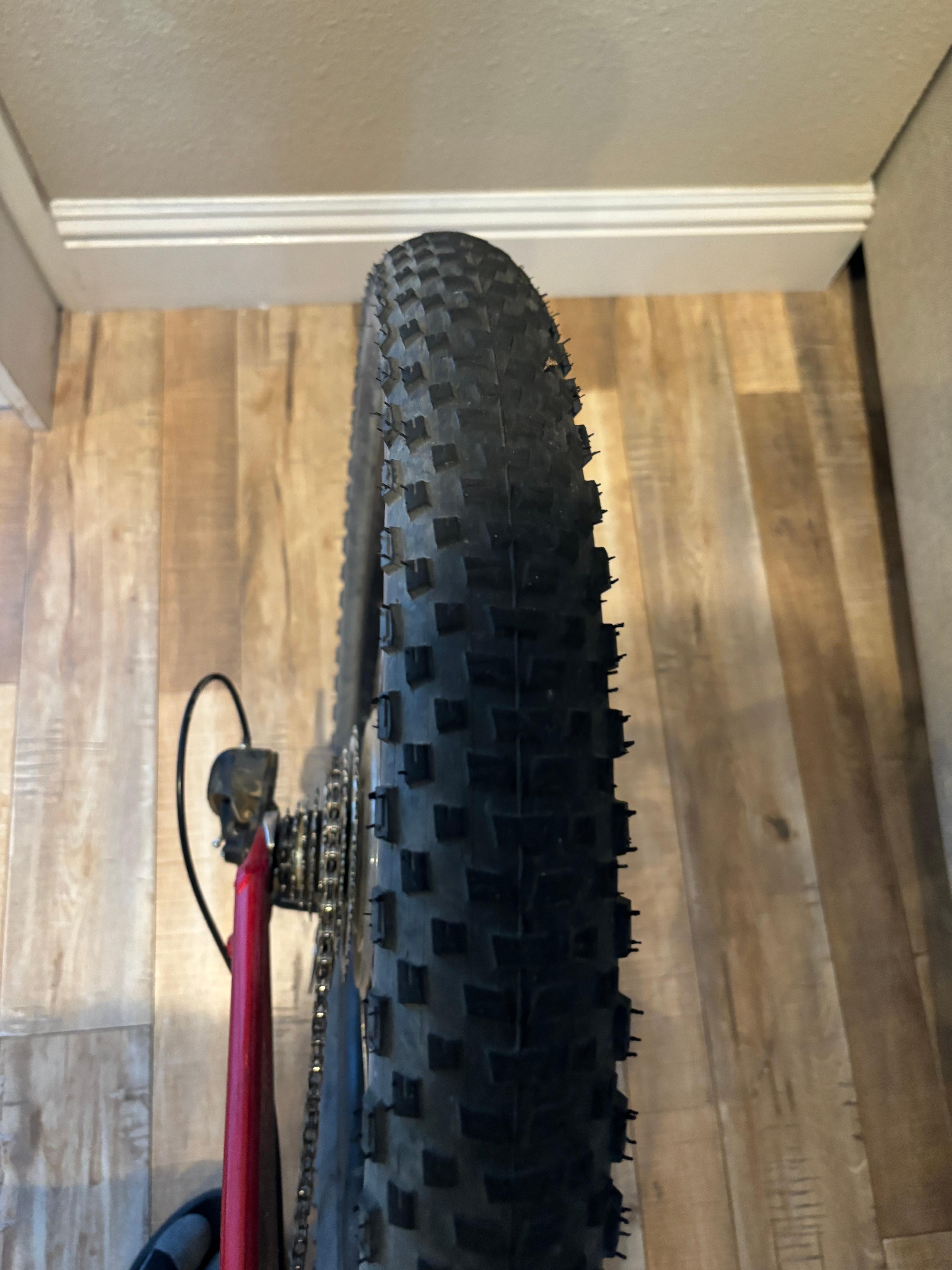 bike-pictures