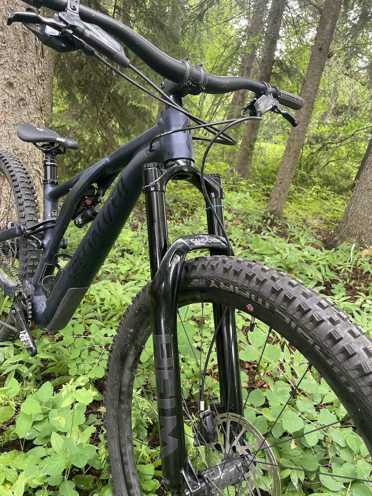 bike-pictures