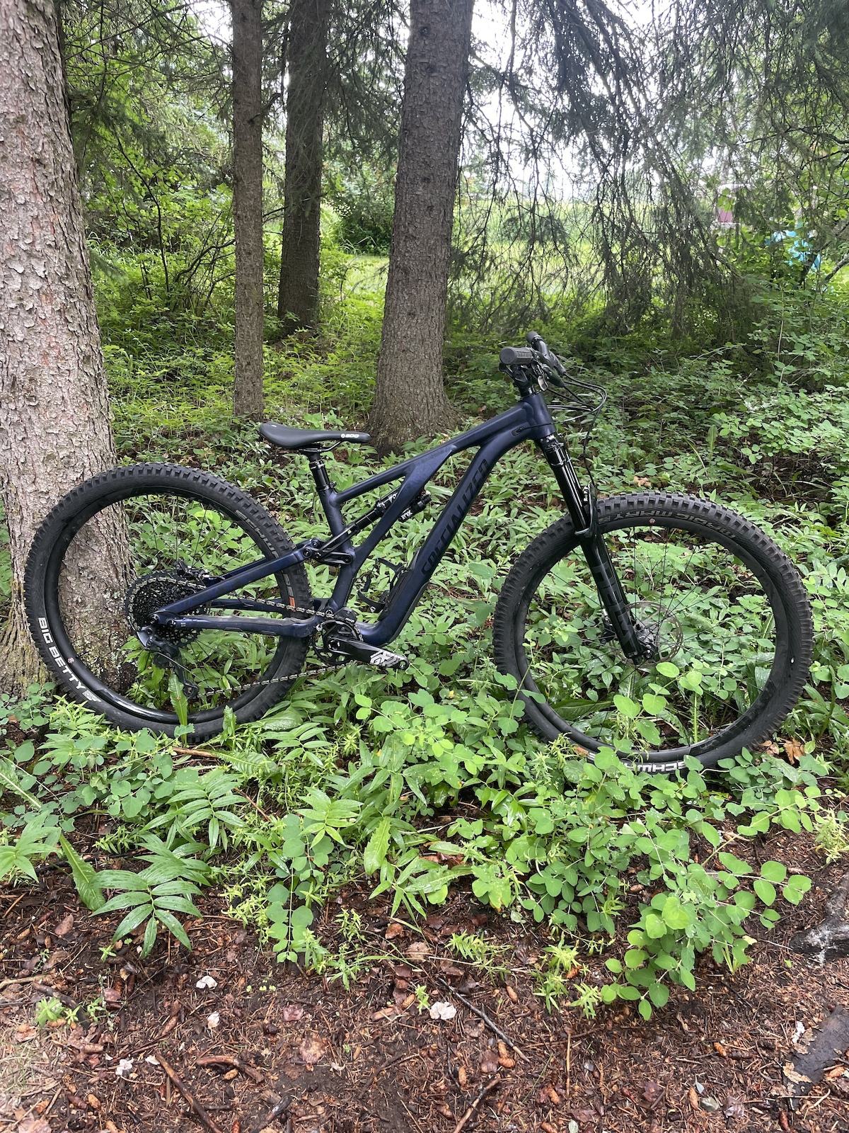bike-pictures